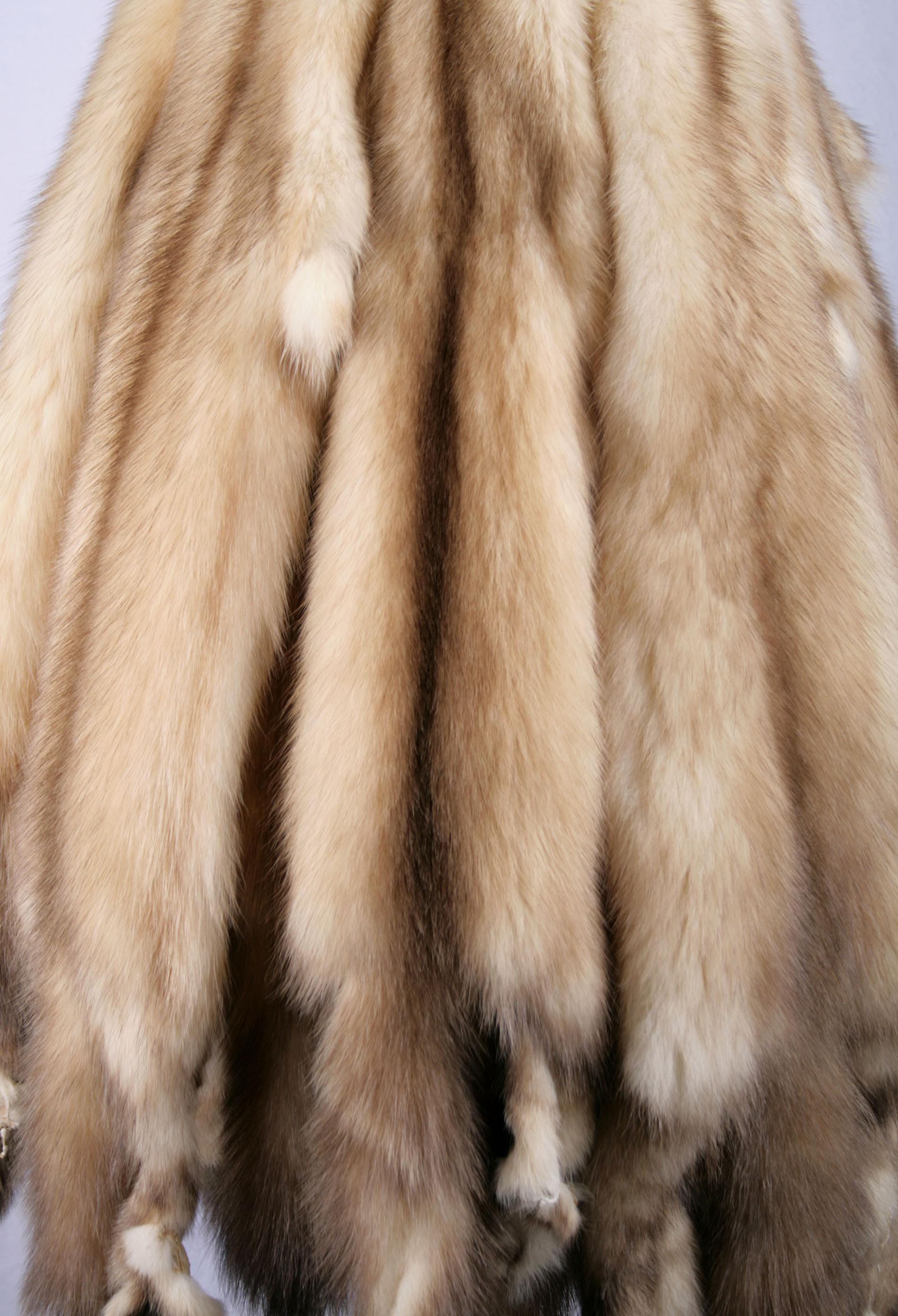 russian-gold-sable-skin-sojuzpushnina-5