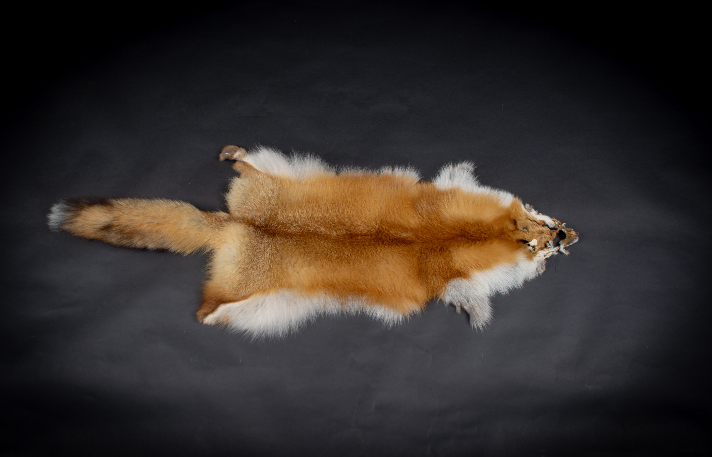 Canadian Red Fox Pelt - natural Canadian Red Fox Pelt - natural