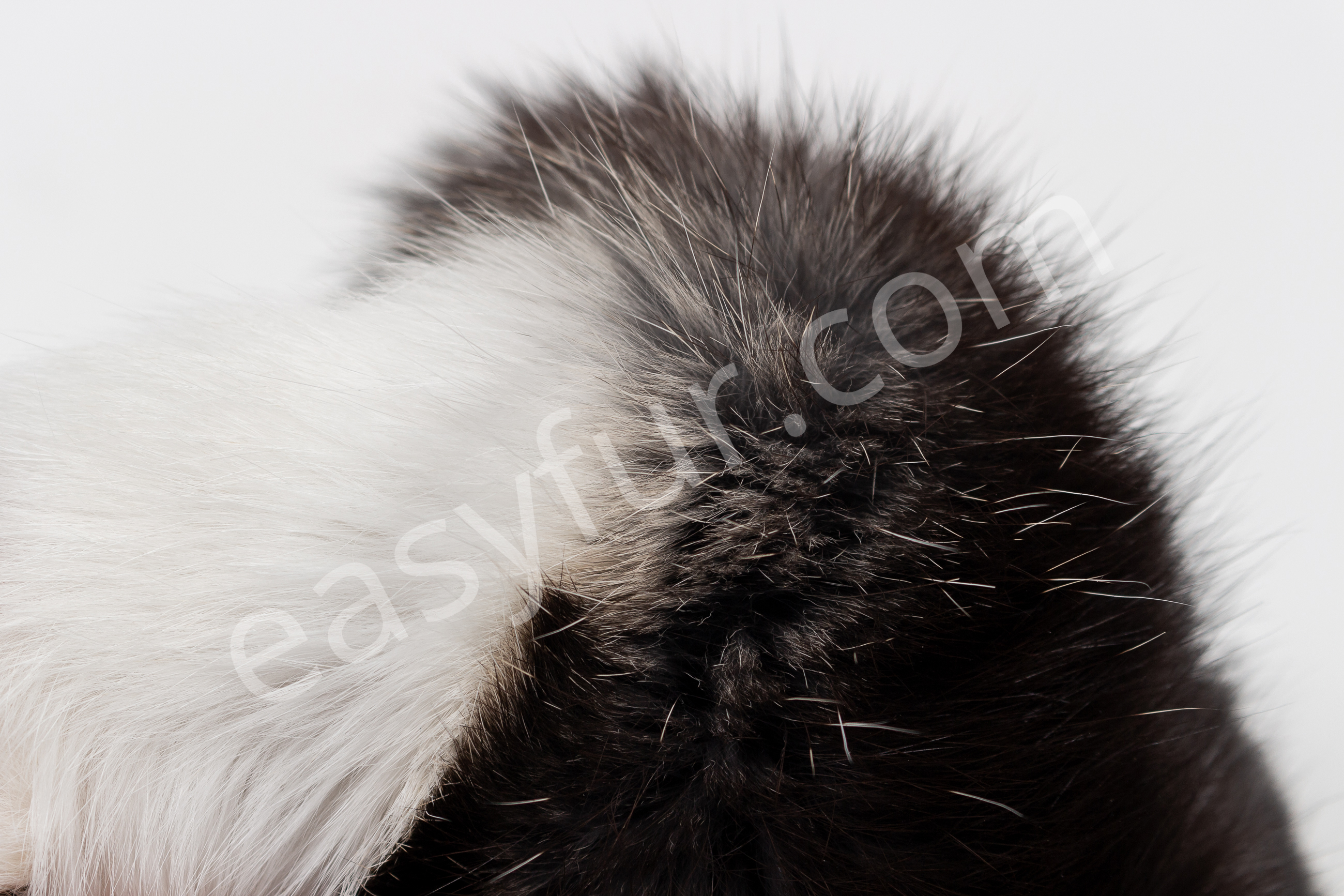 7-6052-Rabbit-Skins-black-white-belly-Naturelle-Kaninchen-Felle-schwarz-grauer-Wamme