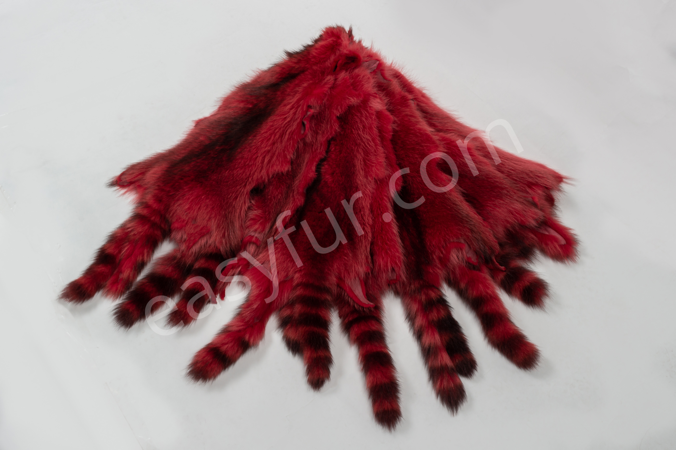 4-6037-Waschbaeren-ferrari-rot-raccoons-ferrari-red-easyfur