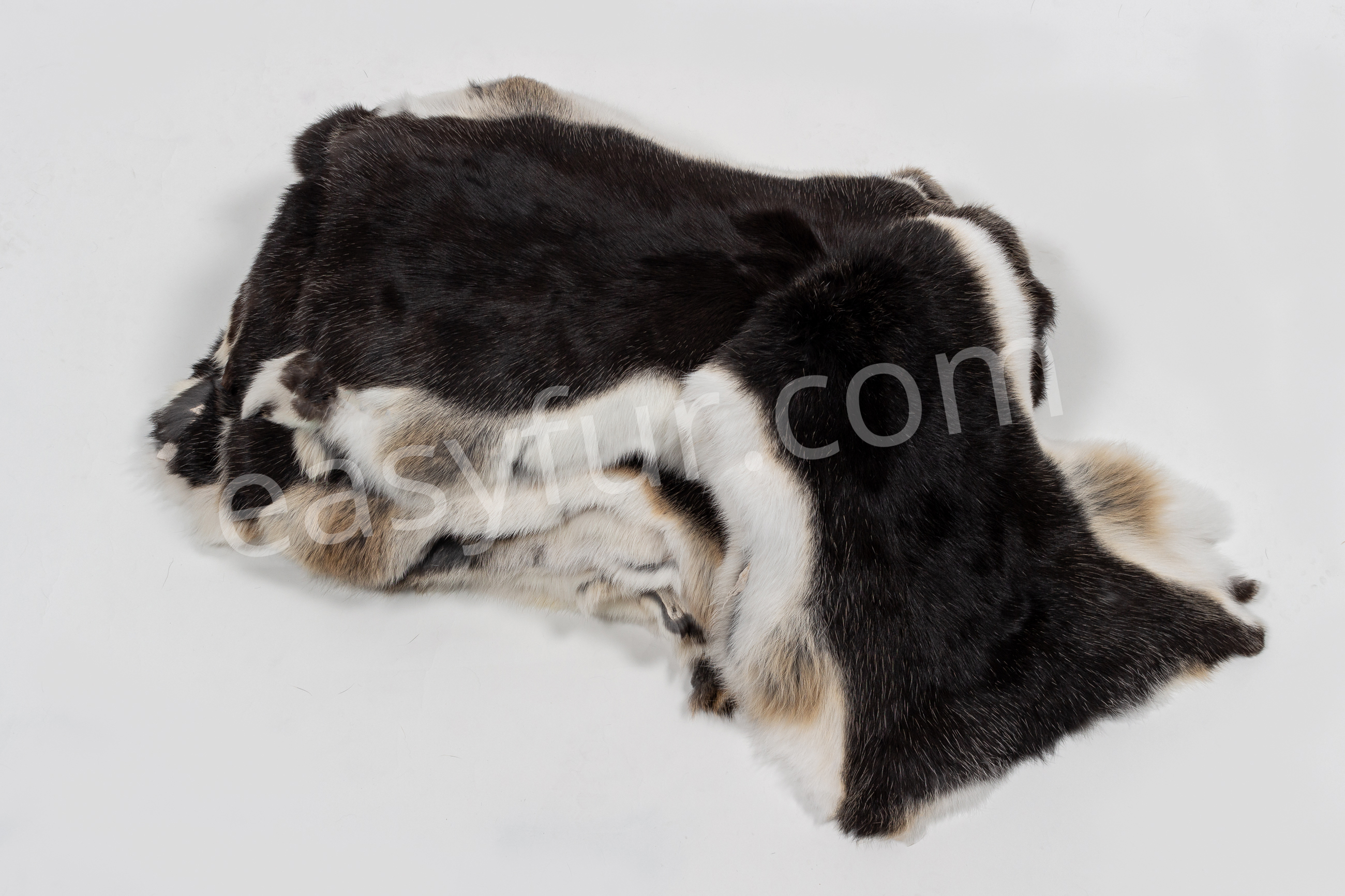 2-6052-Rabbit-Skins-black-white-belly-Naturelle-Kaninchen-Felle-schwarz-grauer-Wamme
