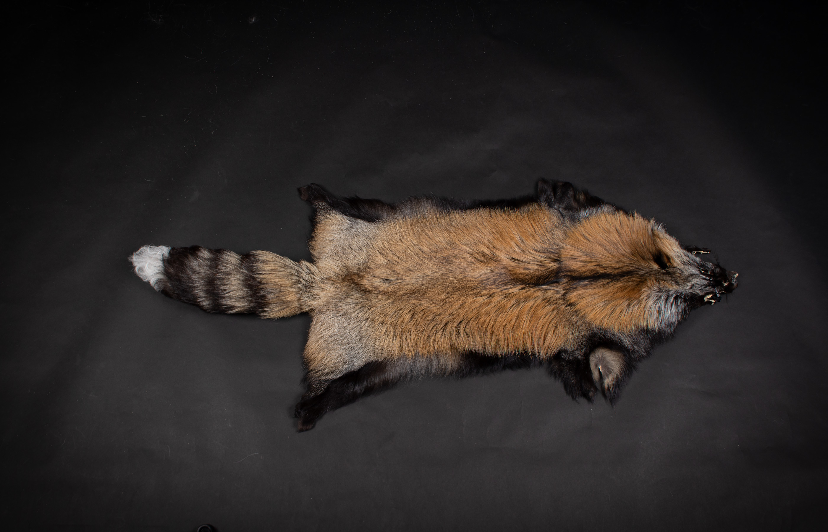 Natural Smokey Fox Skin Natural Smokey Fox Skin