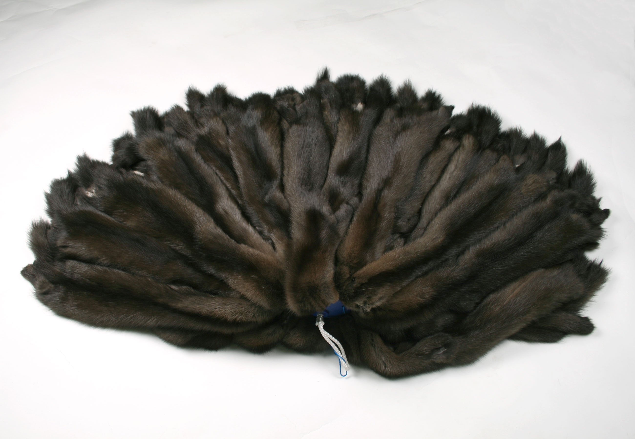 1-4968-Russian-Bargusin-Sable-Skins-Felle