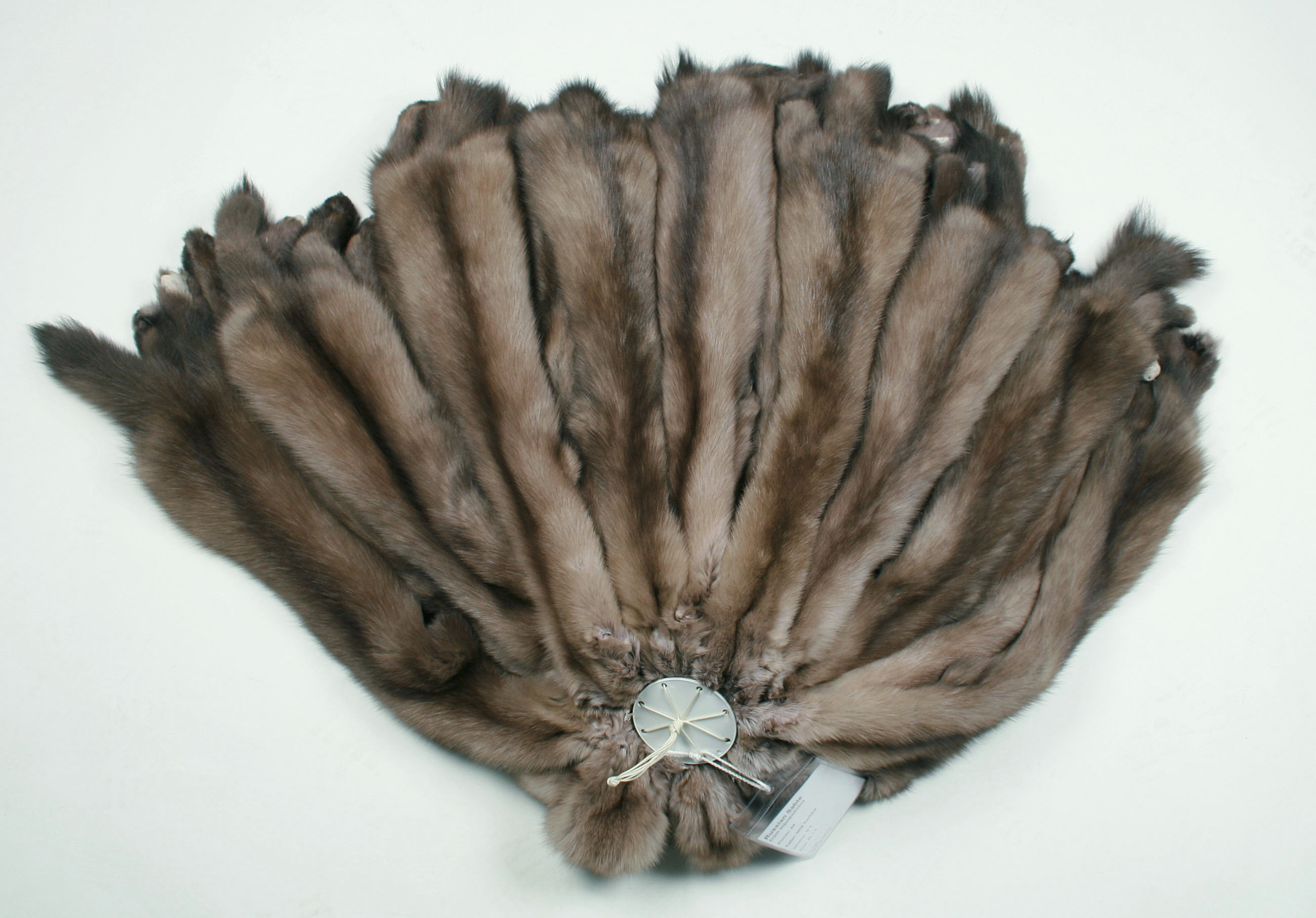 russian-sable-skins-bargusin-grey-1 Russian Bargusin Sable Skins - MIB Tortora (Sojuzpushnina)