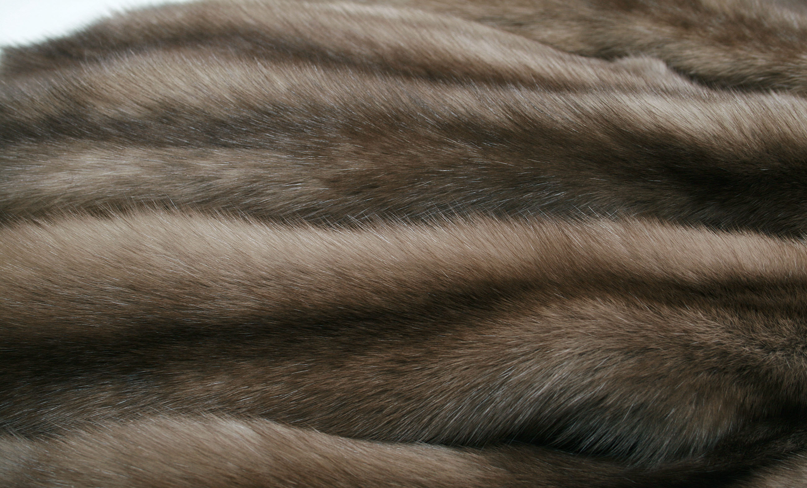 russian-sable-skins-bargusin-grey-2