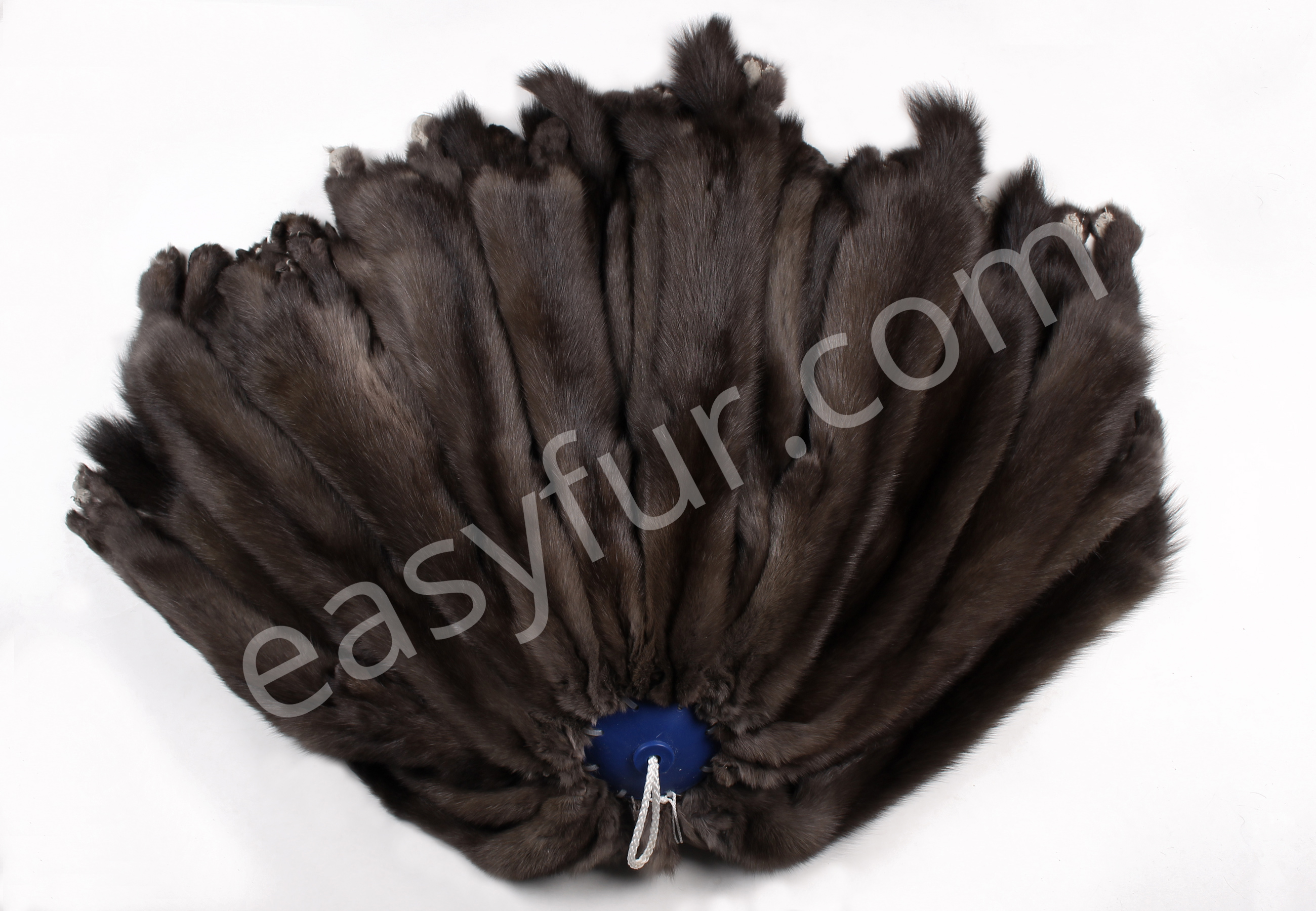 01-5495-Russian-Barguzin-Sables-Skins