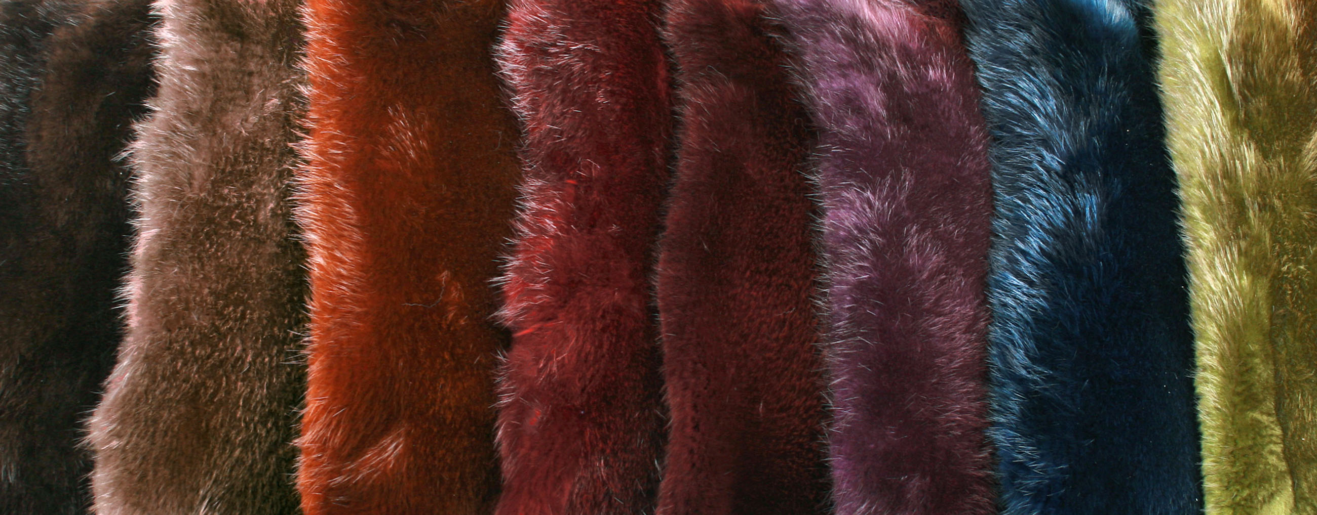 Biberfell-Faerbung-beaver-skins-coloured-1