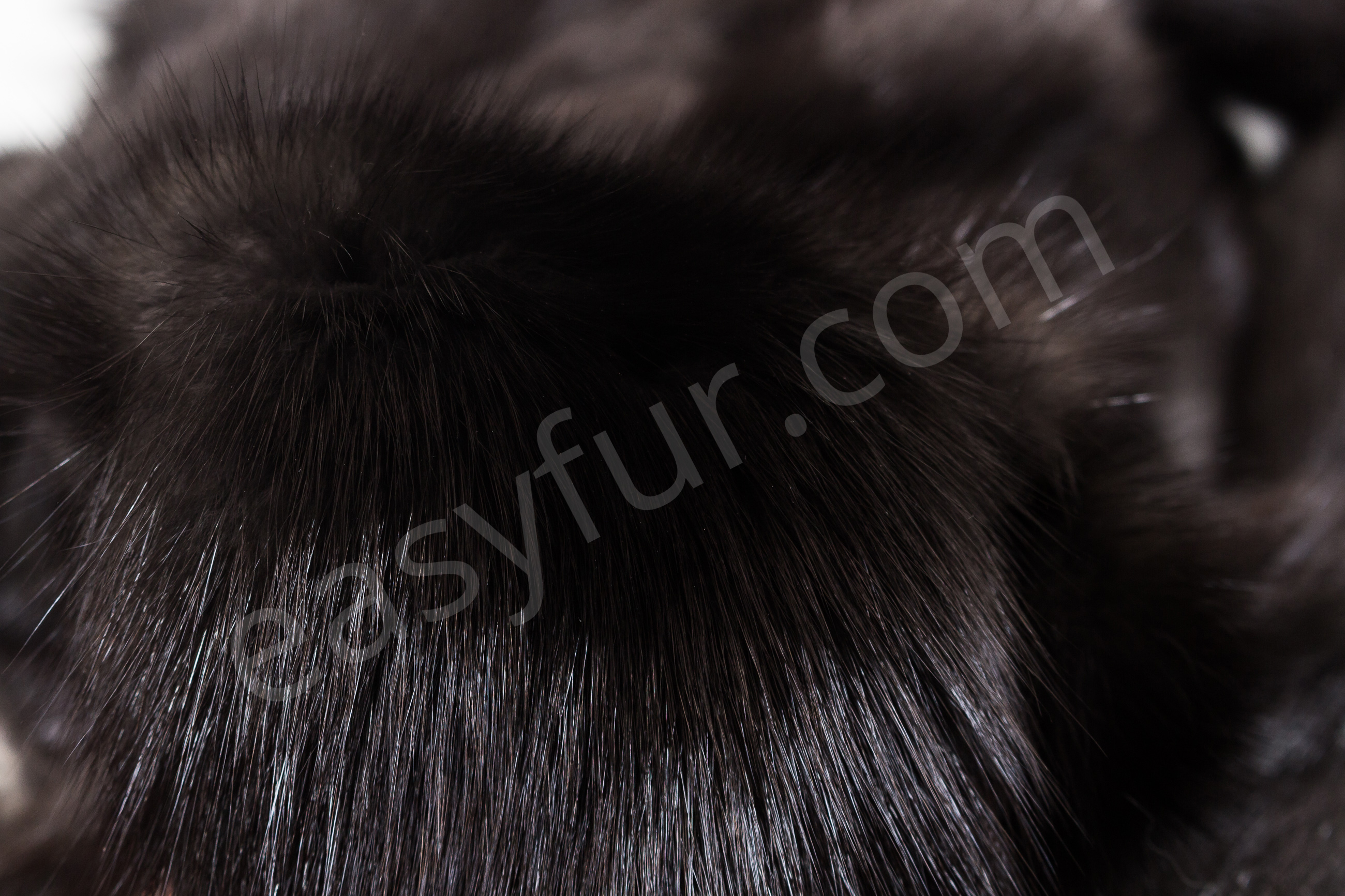 5-1850-Russische-Zobel-Felle-Russian-Sable-Skins-Easyfur