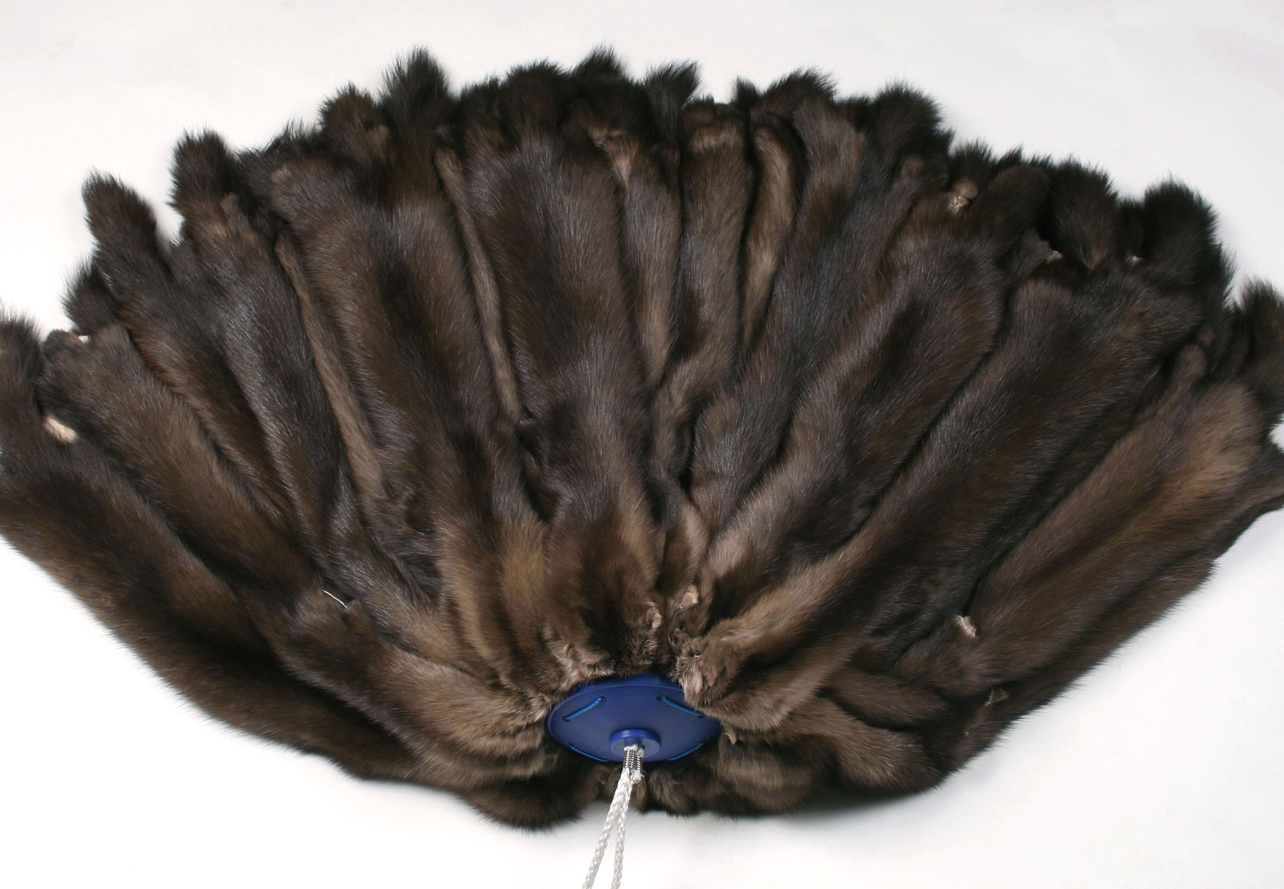 1-4970-Sable-skins-Barguzin-Sojuzpushnina-Zobelfelle