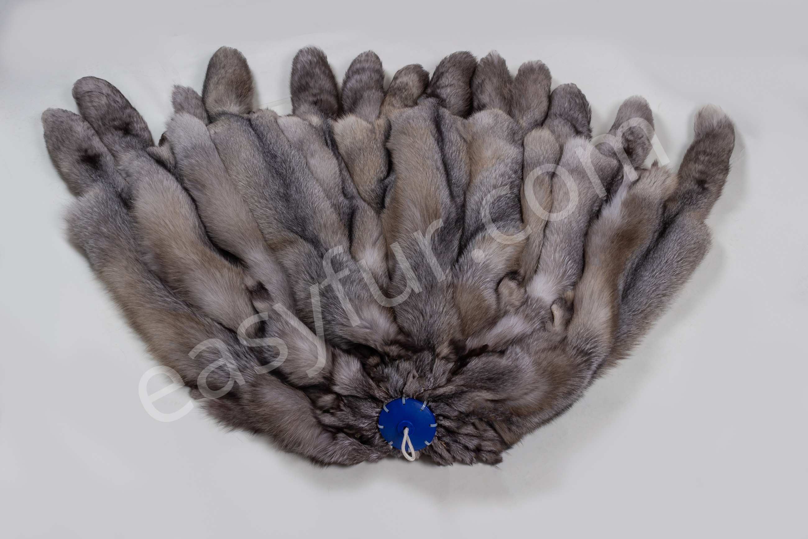1-5670-Blue-Frost-Fuechse-Blue-Frost-Fox-Brown-Type
