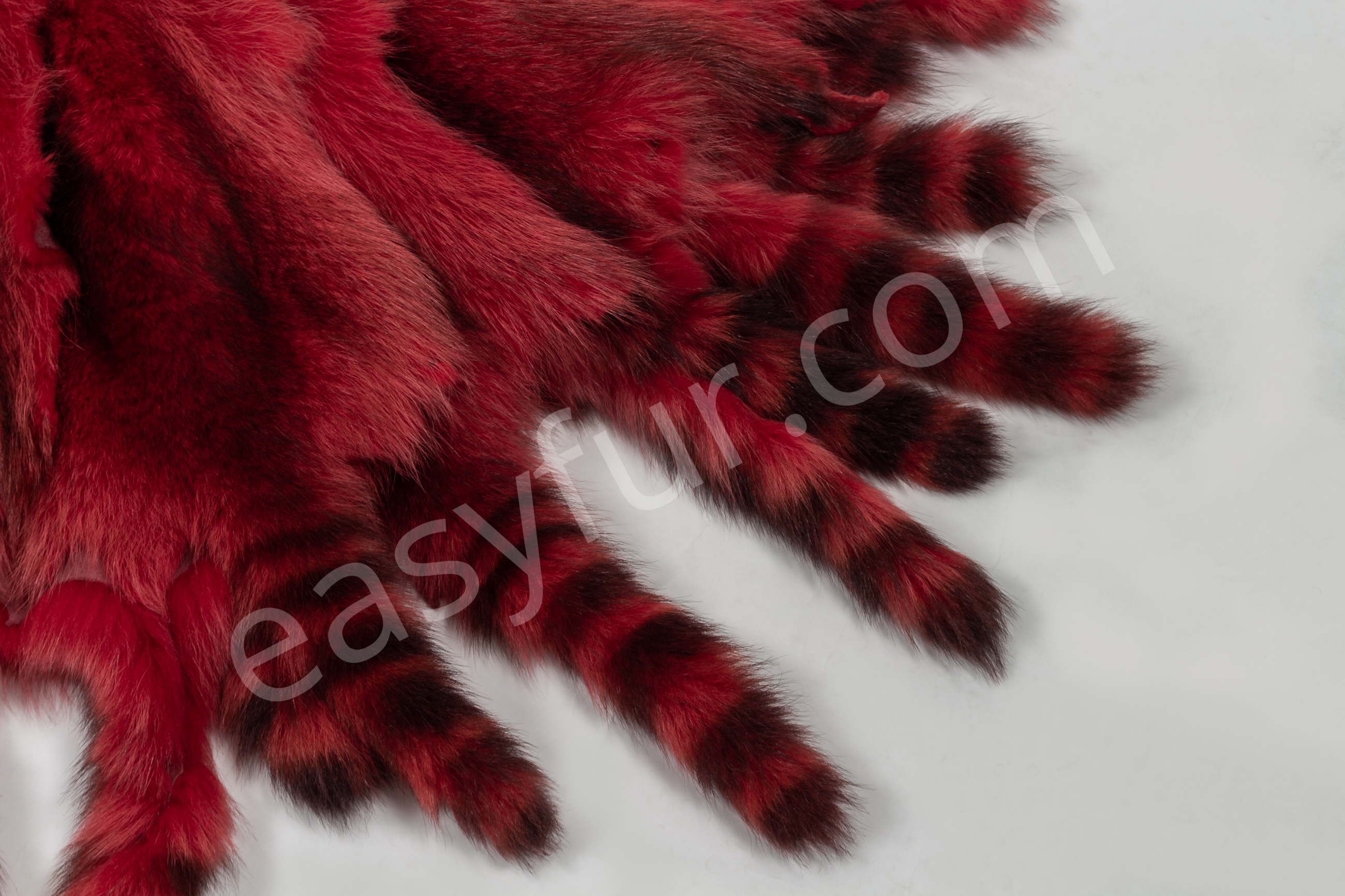 5-6037-Waschbaeren-ferrari-rot-raccoons-ferrari-red-easyfur