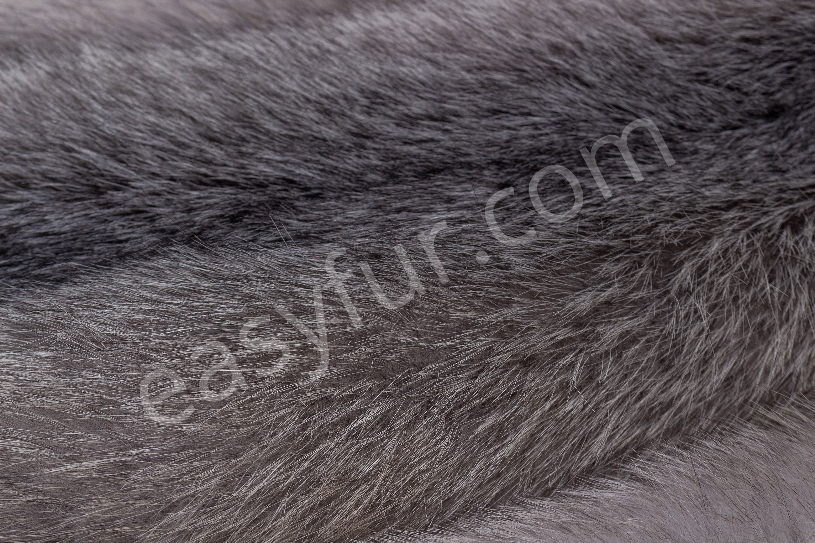 7-5670-Blue-Frost-Fuechse-Blue-Frost-Fox-Brown-Type