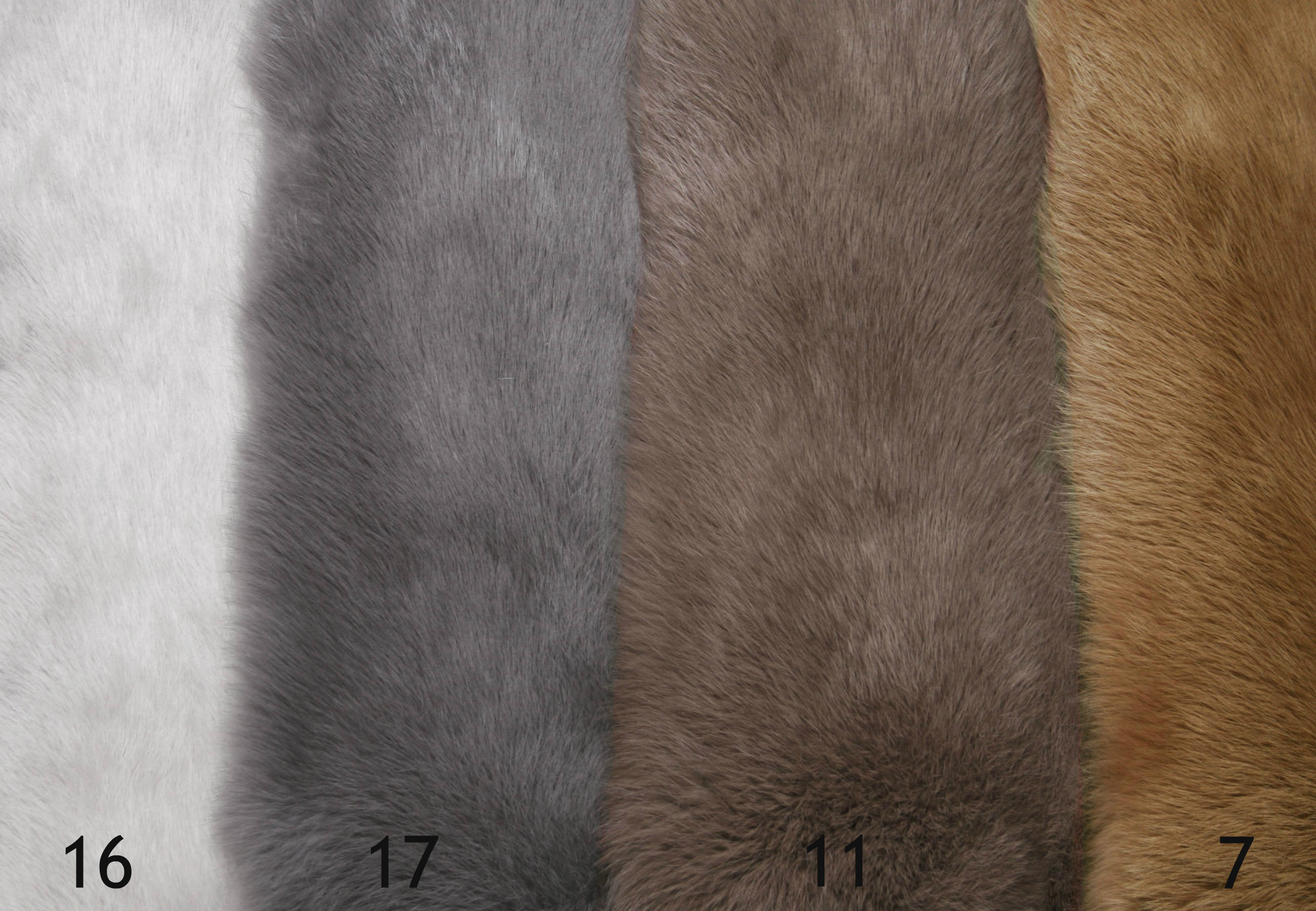4-5240-Colorations-Rabbit-Furs-Kaninchenfelle