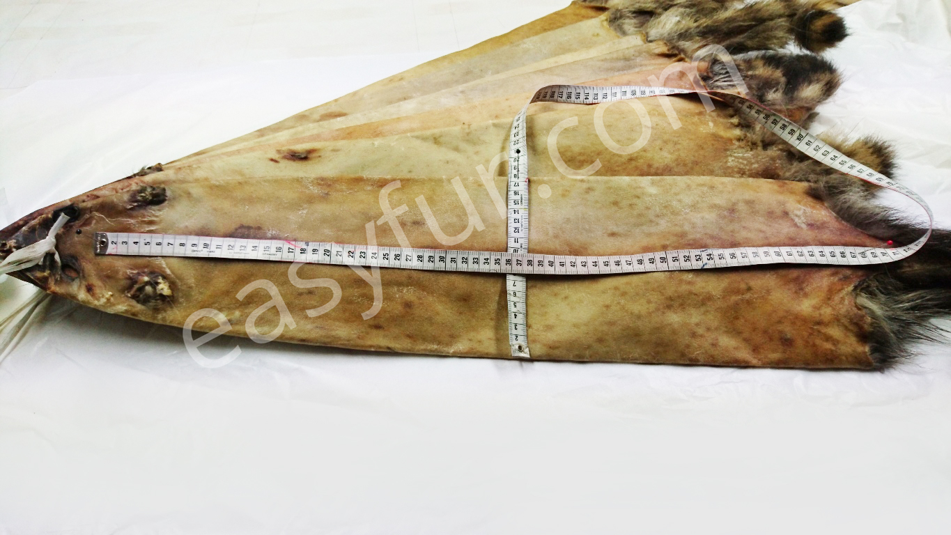 rohfelle-waschbaer-raw-skins-raccoon-4