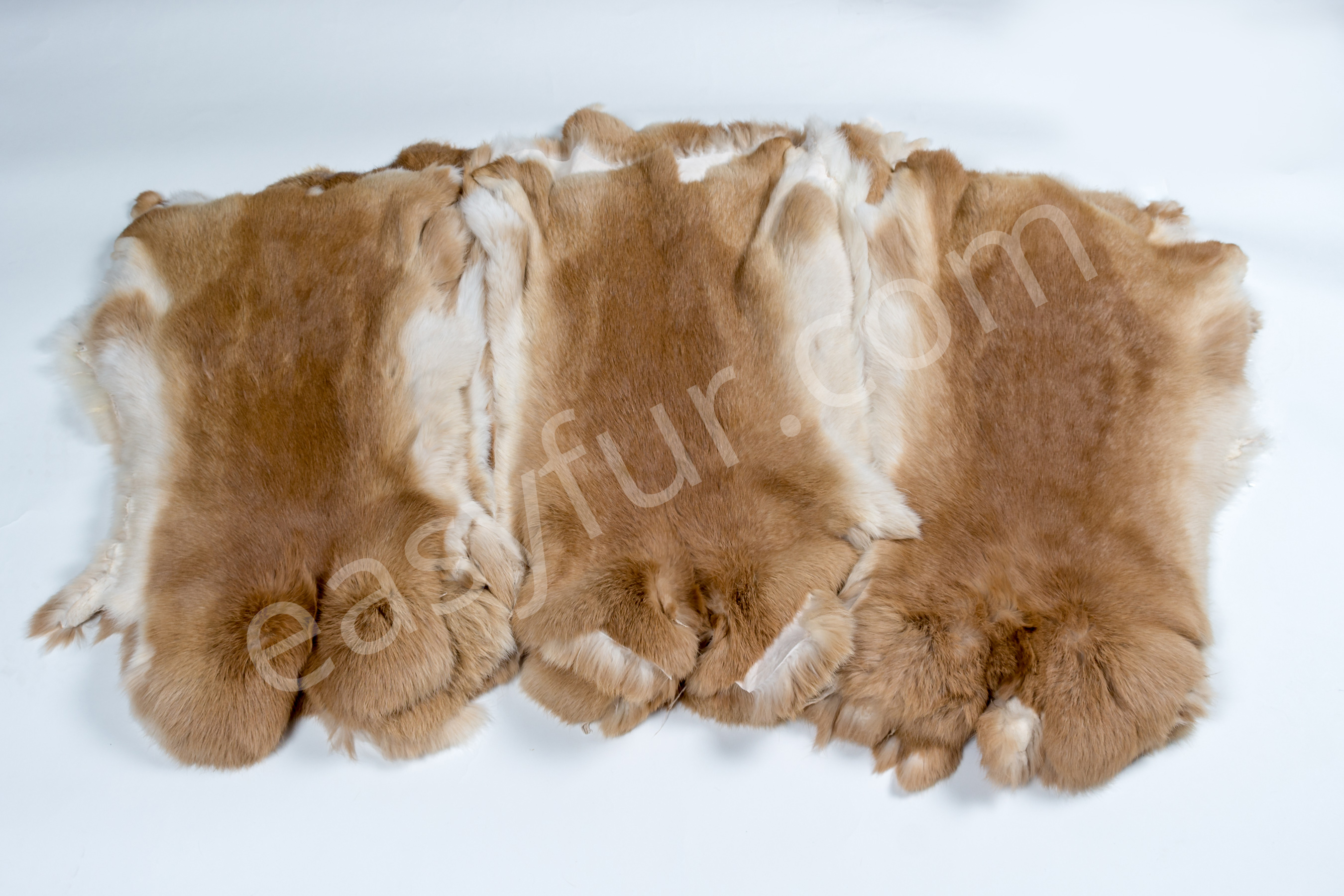 2-1980-Rabbits-Ginger-Kaninchen-Felle