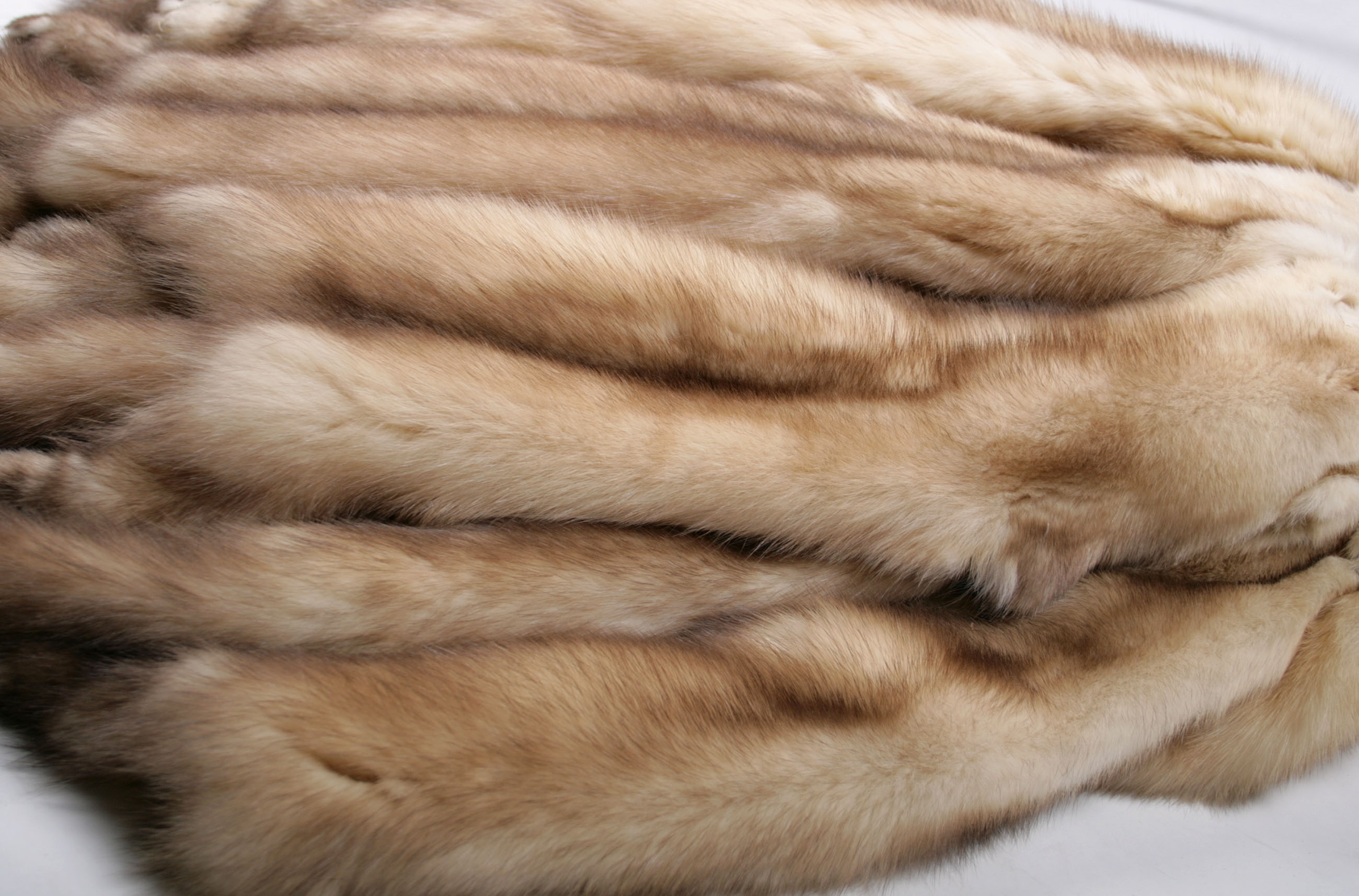 russian-gold-sable-skin-sojuzpushnina-1