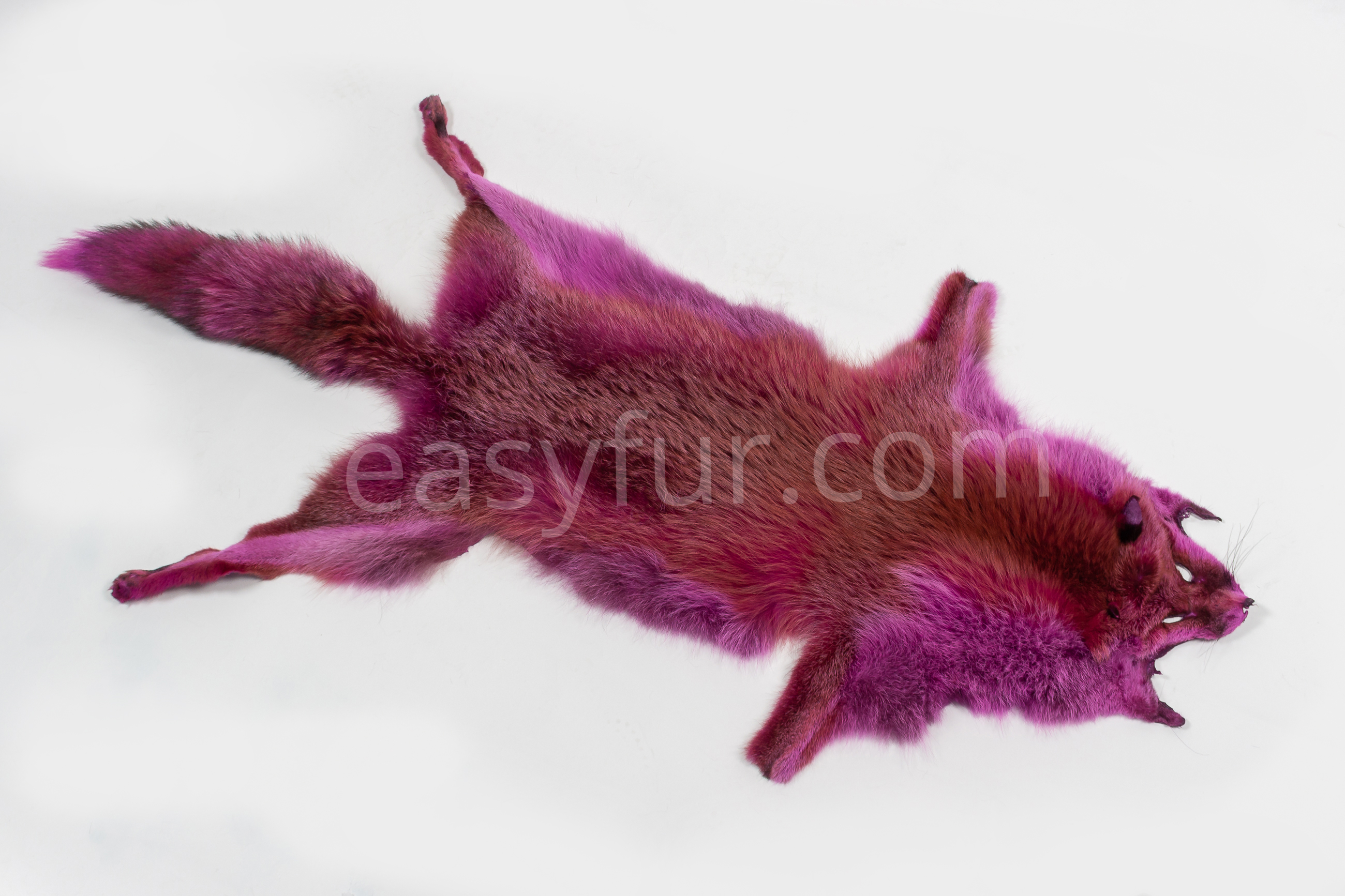 1-6038-Europaeische-Rotfuechse-pink-European-Red-Foxes