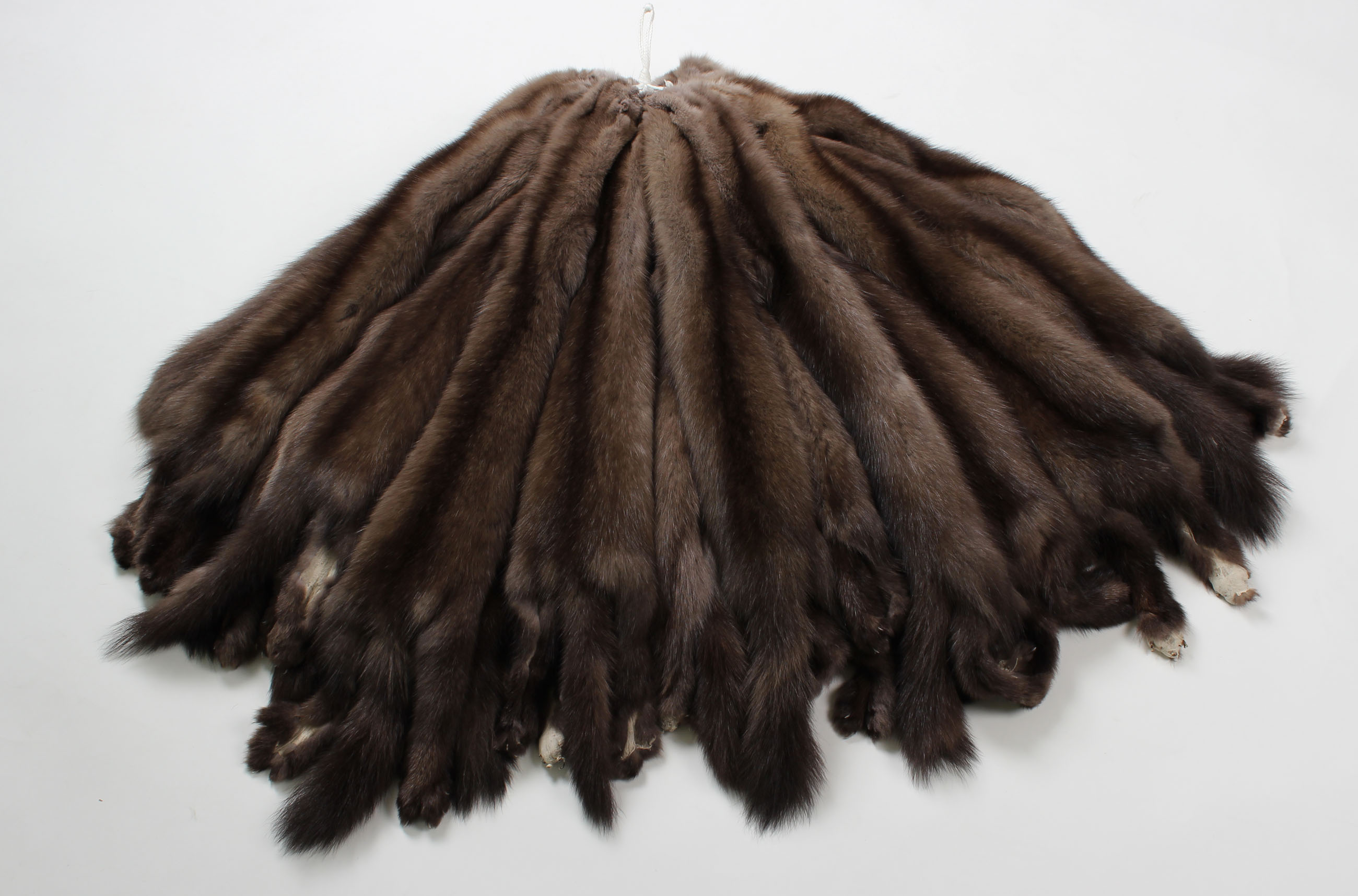 3-Sable-skin-russian-sable-Tortora