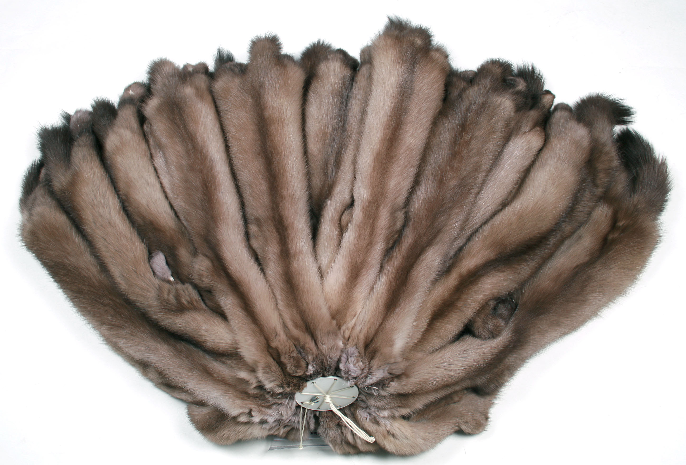 08-russian-sable-skins-1