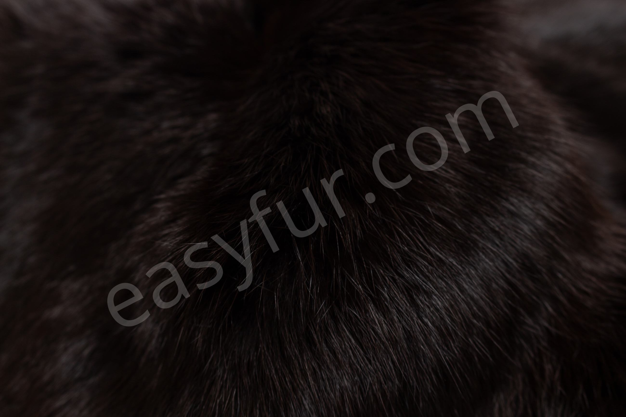 5-1841-Dunkelbraune-Kaninchen-Felle-Rabbit-Furs-Dark-BrownBlUrgEJdsTIFR