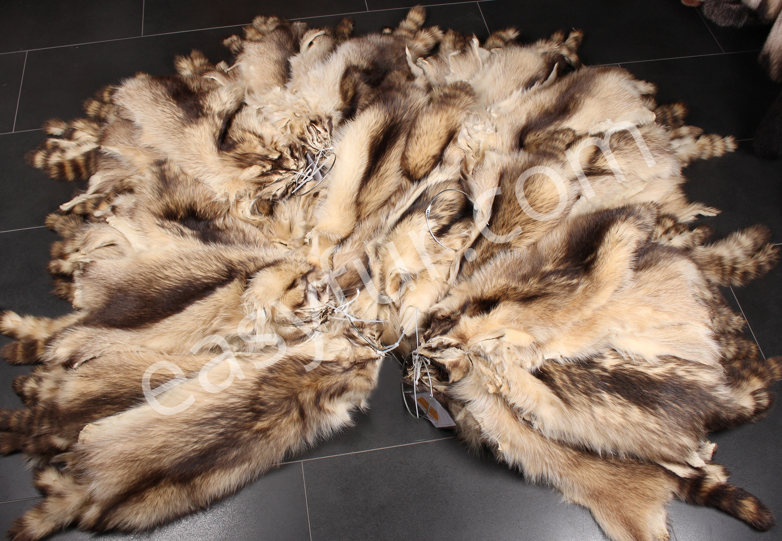 02-5810-Canadian-Raccoon-Pelts-easyfur