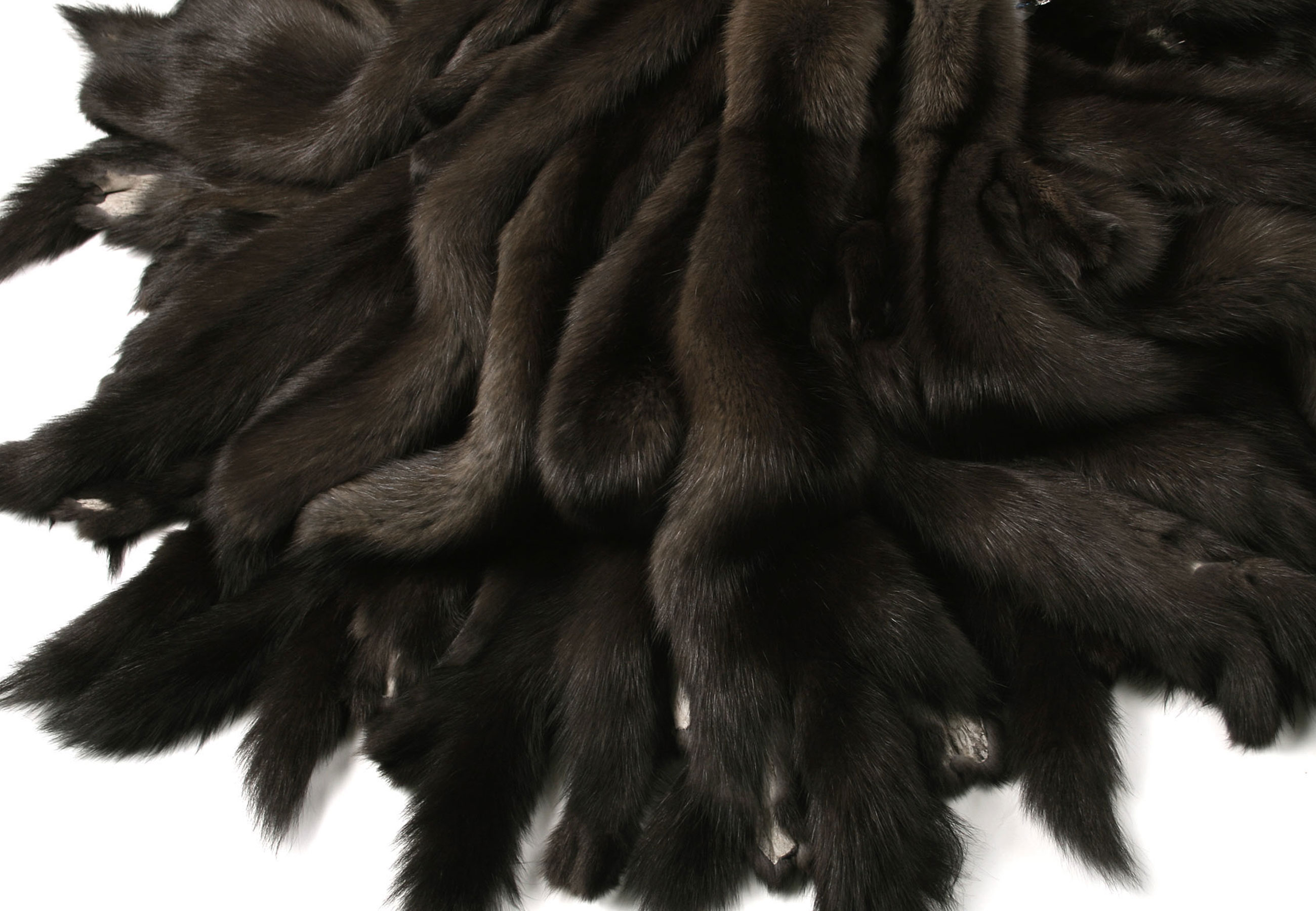 2-4968-Russian-Bargusin-Sable-Skins-Felle