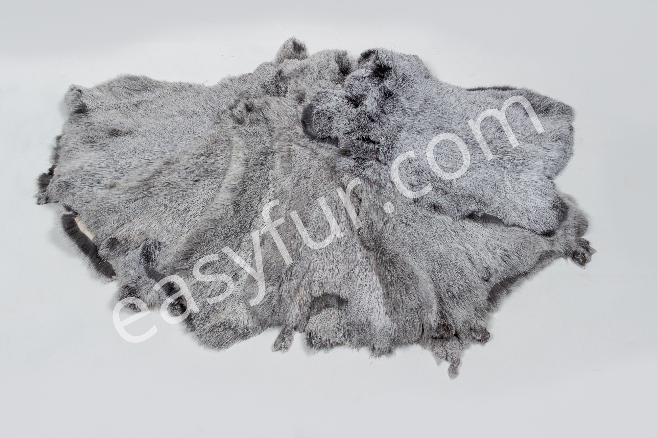 3-2419-Helle-Grosssilber-Kaninchen-Felle-Light-Silver-Rabbit-SkinsRMTsYyv8KYR8Q