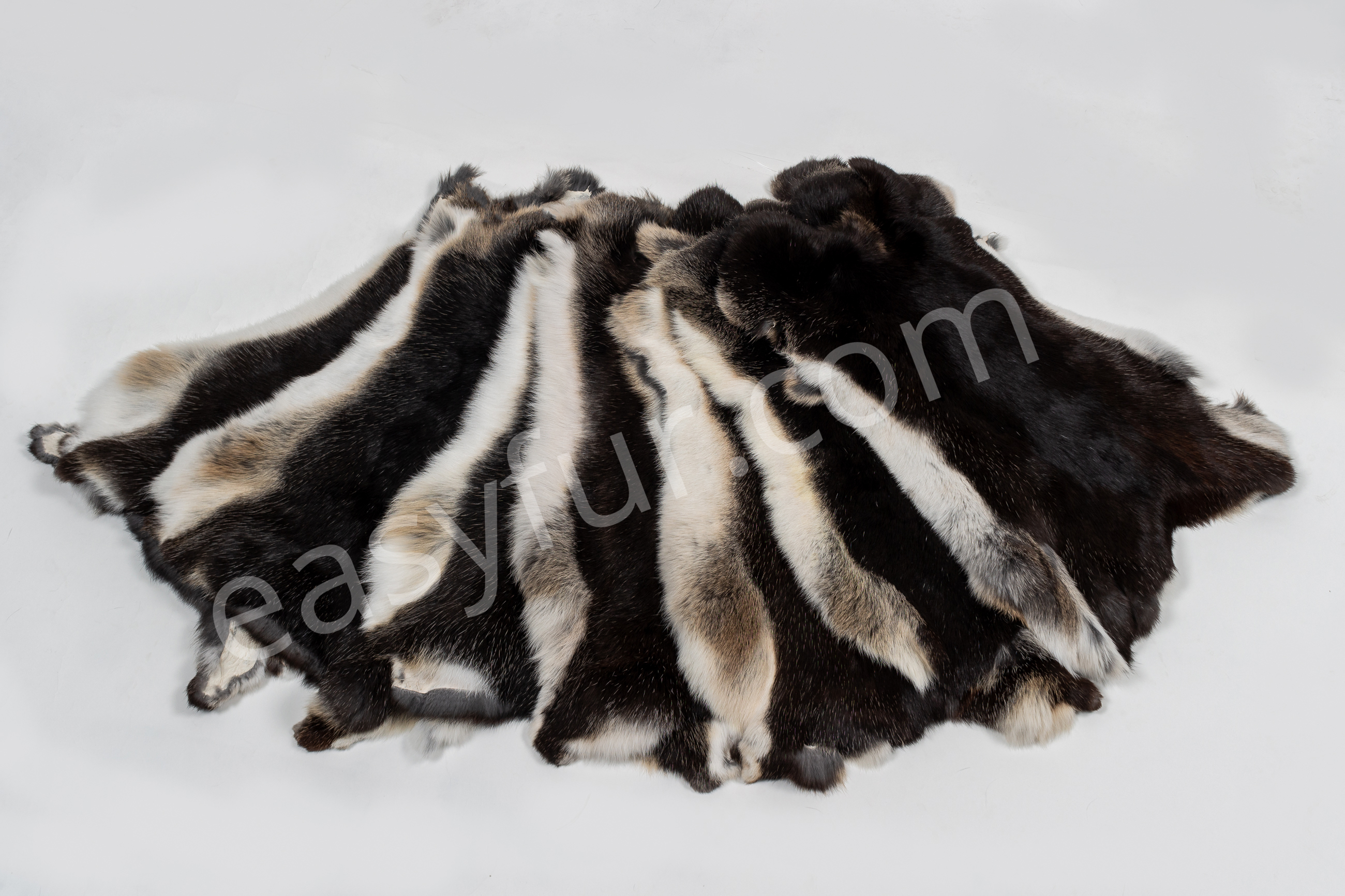3-6052-Rabbit-Skins-black-white-belly-Naturelle-Kaninchen-Felle-schwarz-grauer-Wamme