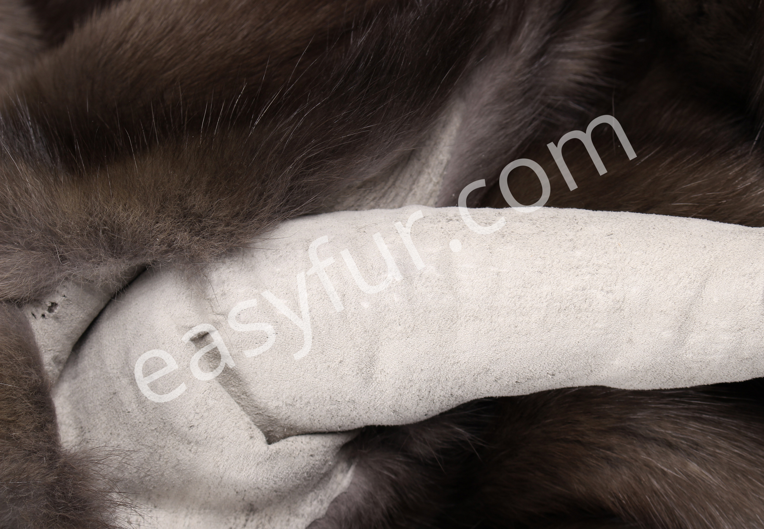 06-5495-Russian-Sable-Skins-MIB-Titanio