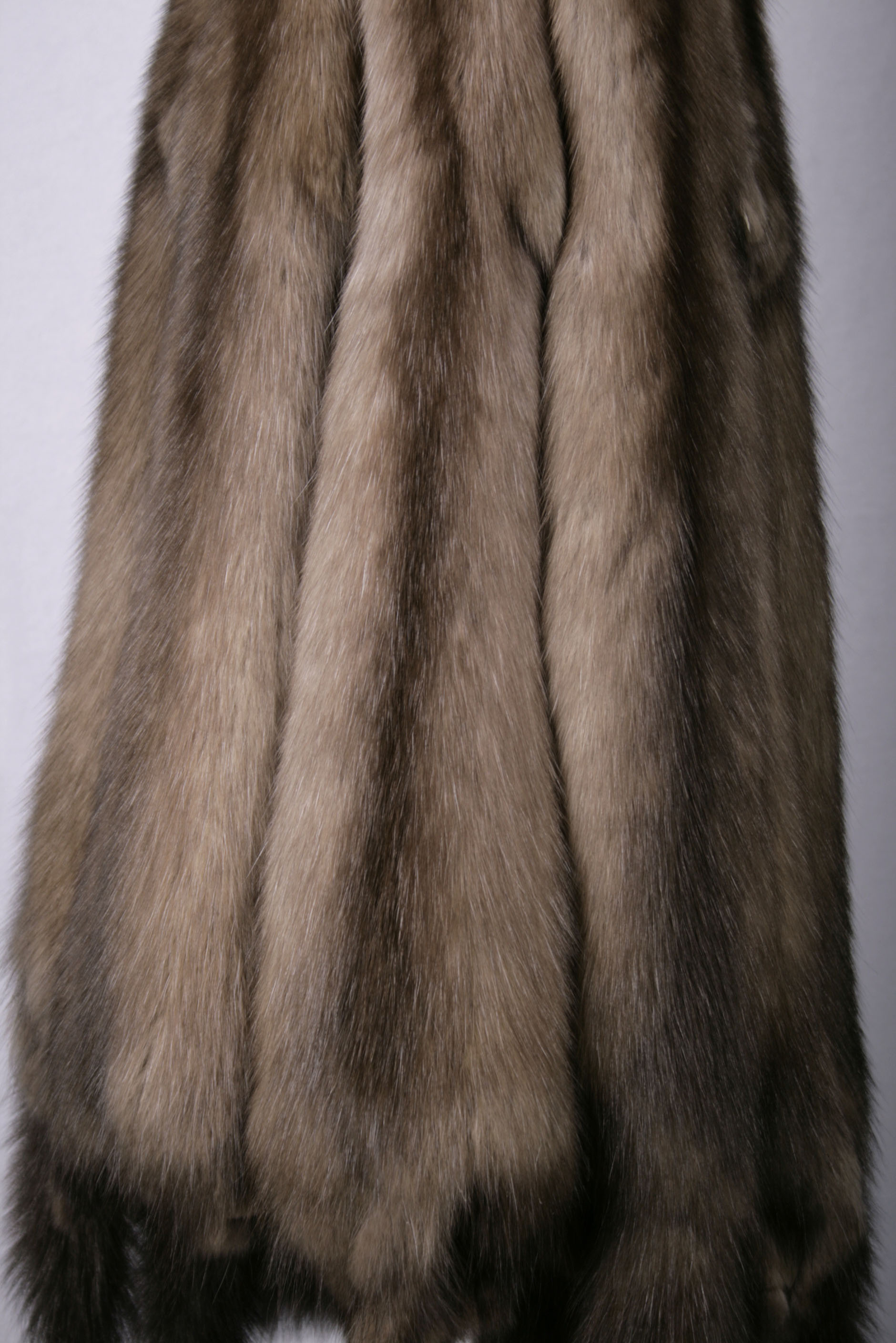 russian-sable-tortora-brown-skins-5