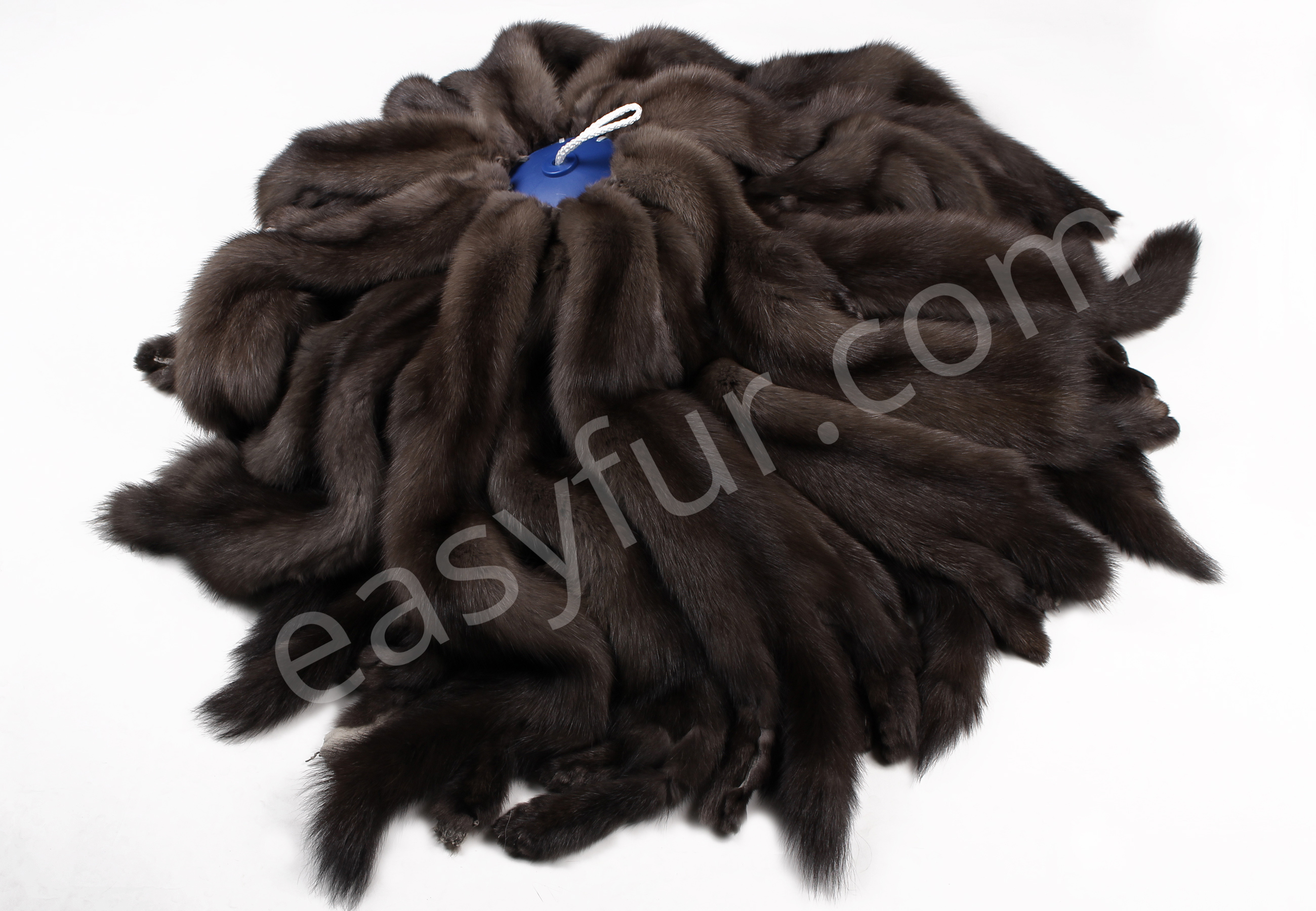 02-5495-Russische-Zobelfelle-Titanio-easyfur