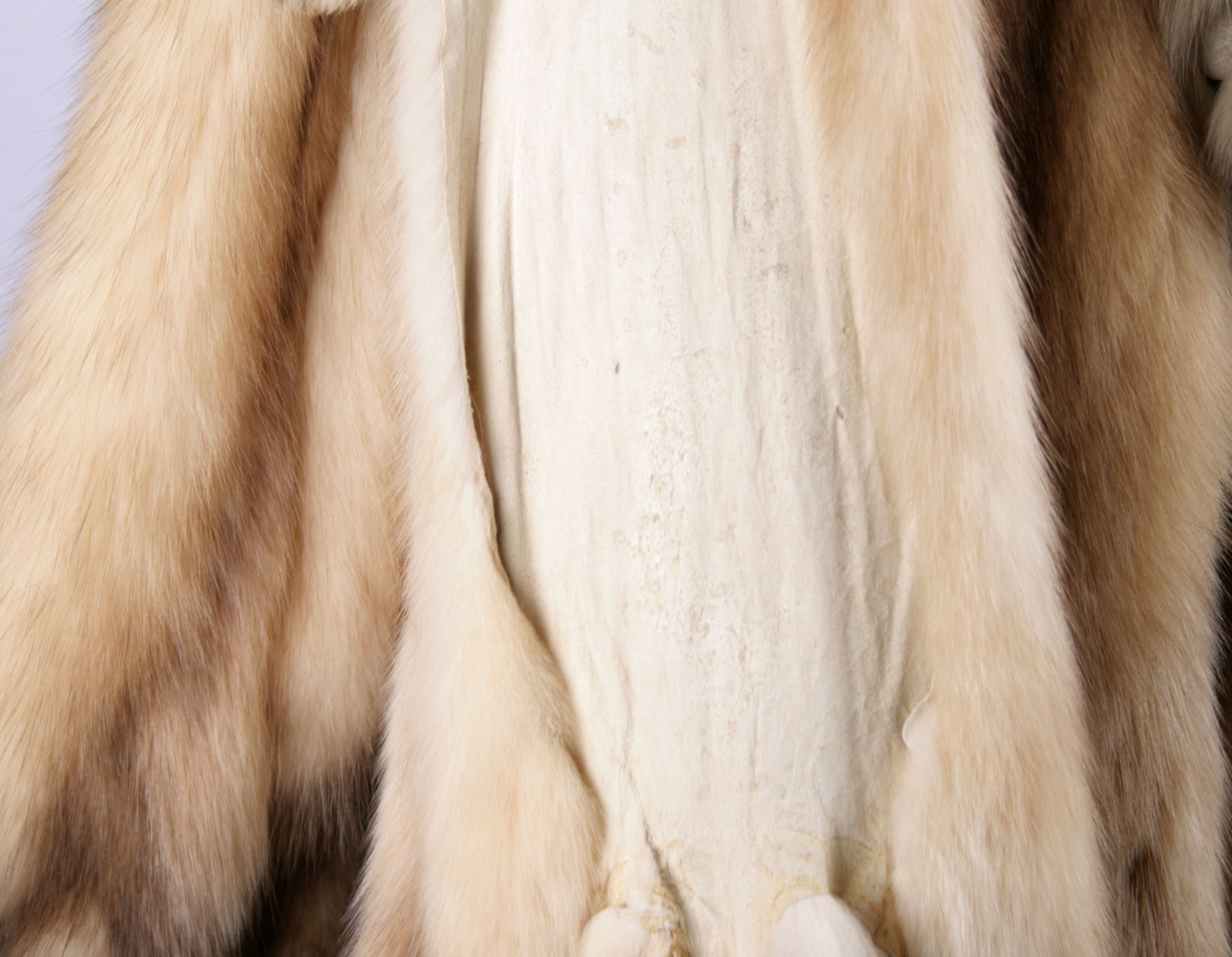 russian-gold-sable-skin-sojuzpushnina-6