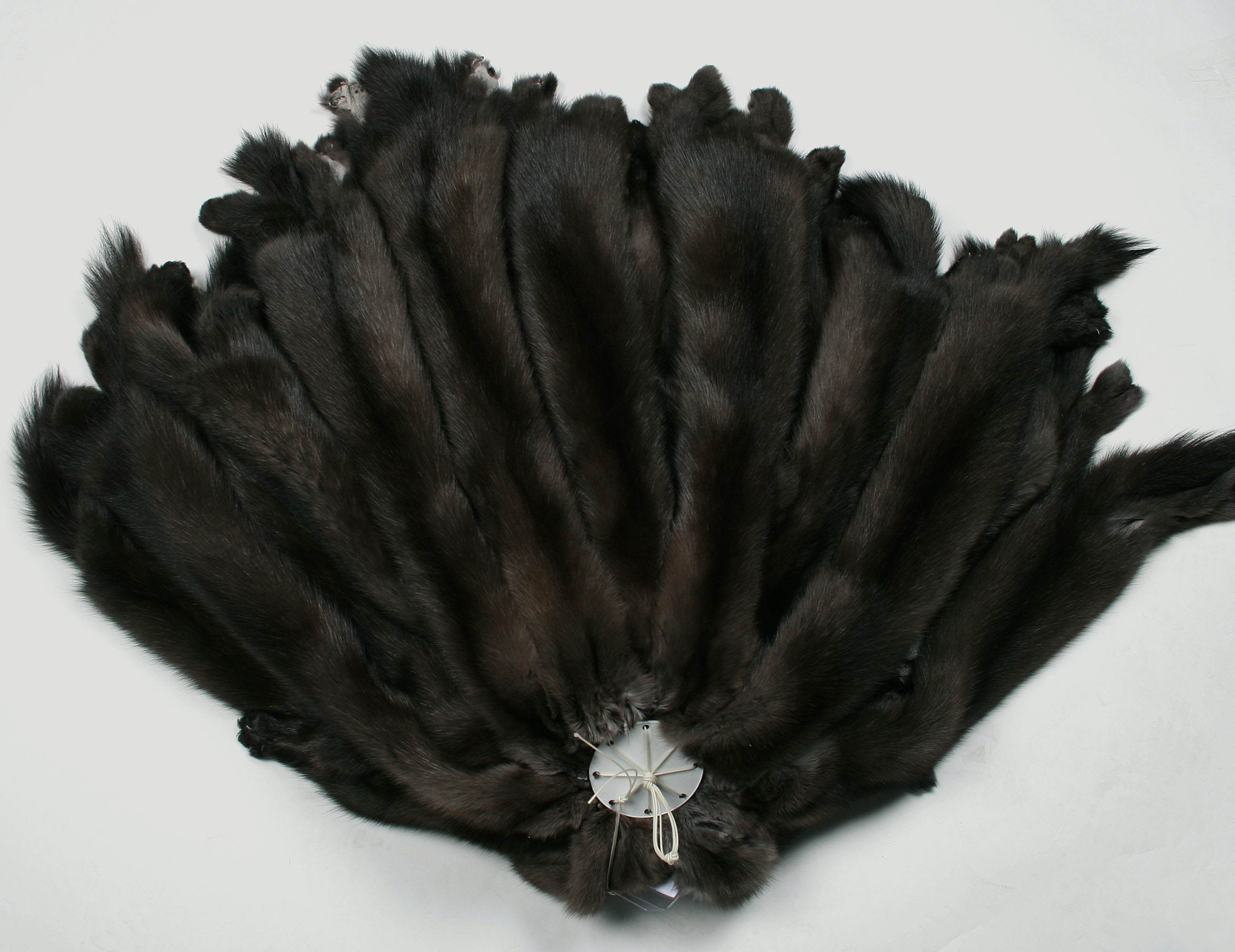 dark-russian-sable-skins-1