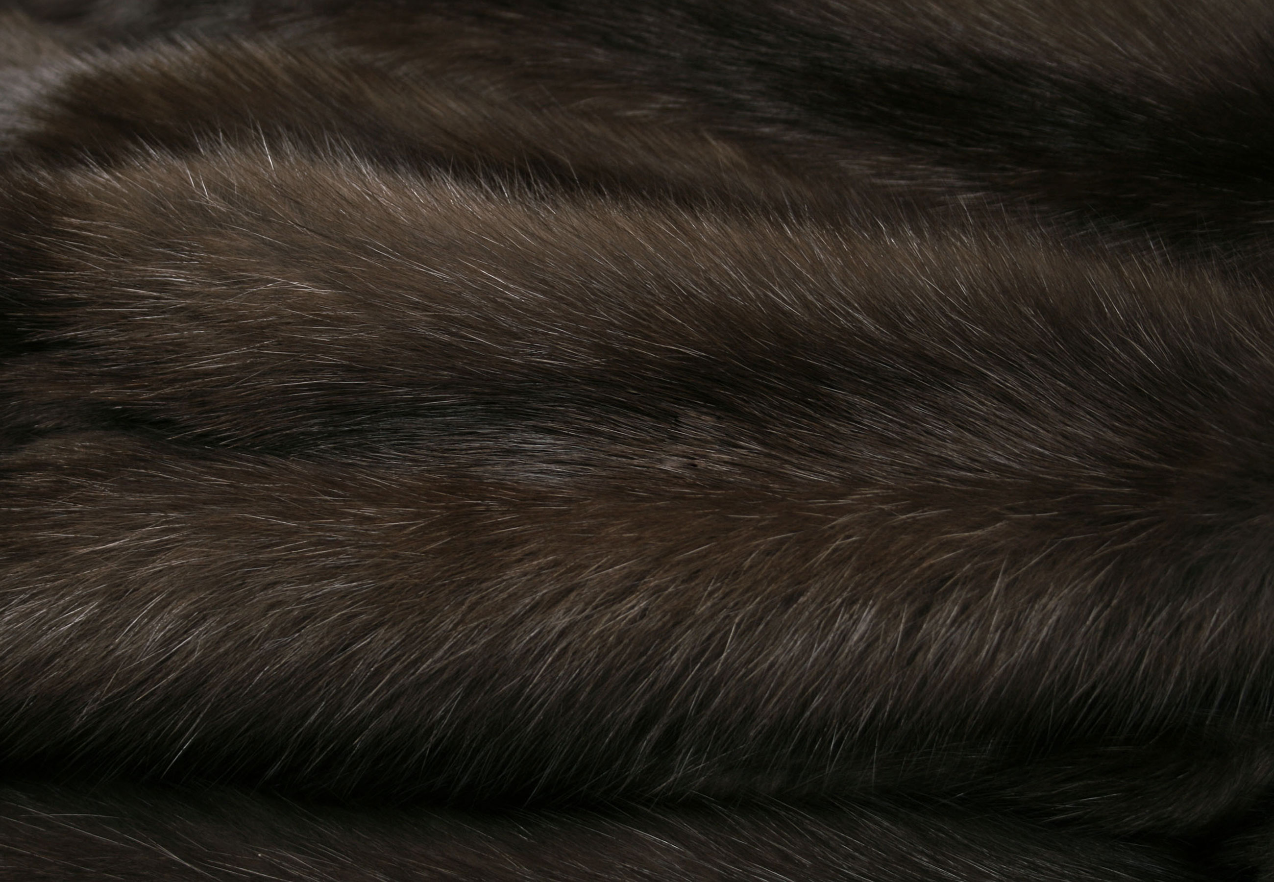 5-4967-Russian-Barguzin-Sable-Skins-Zobelfelle