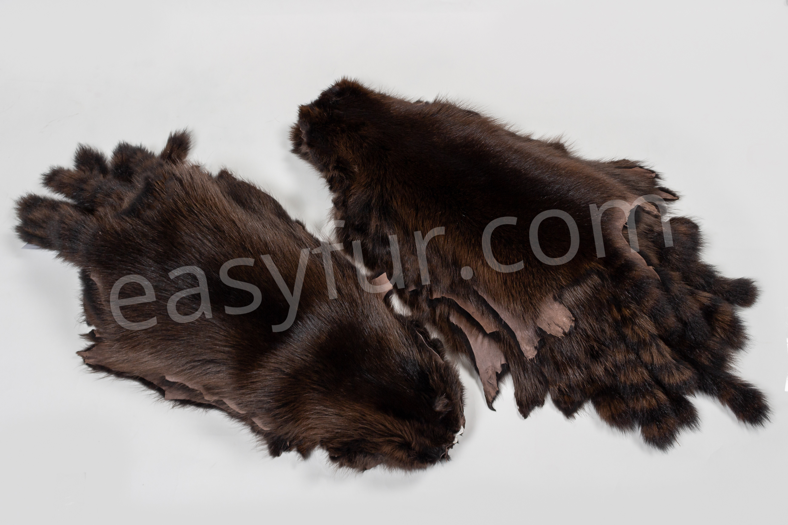 2-1858-Waschaer-Felle-Raccoon-Fur-Skins-Easyfur