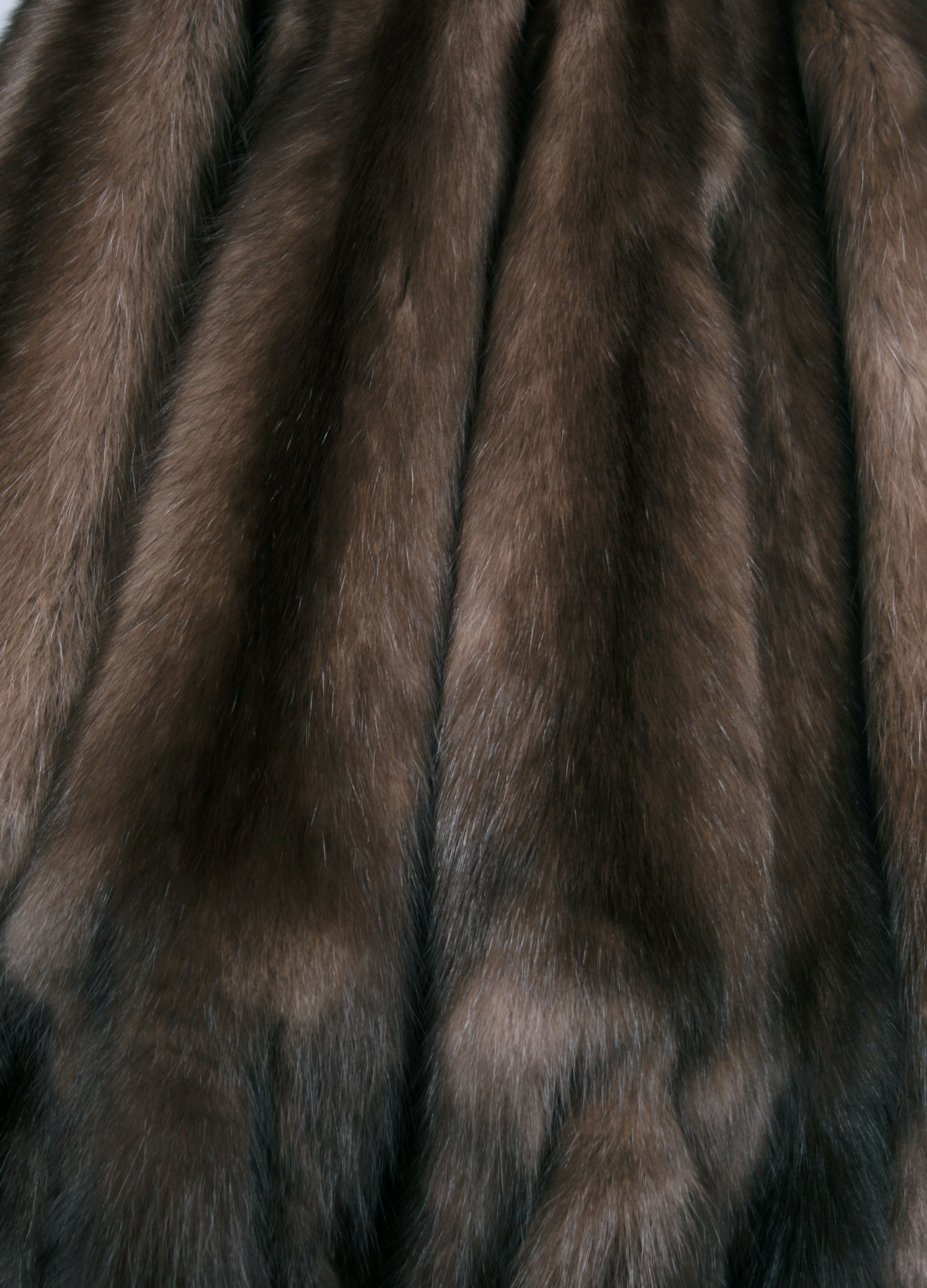 russian-sable-skins-456cb28bcd2980