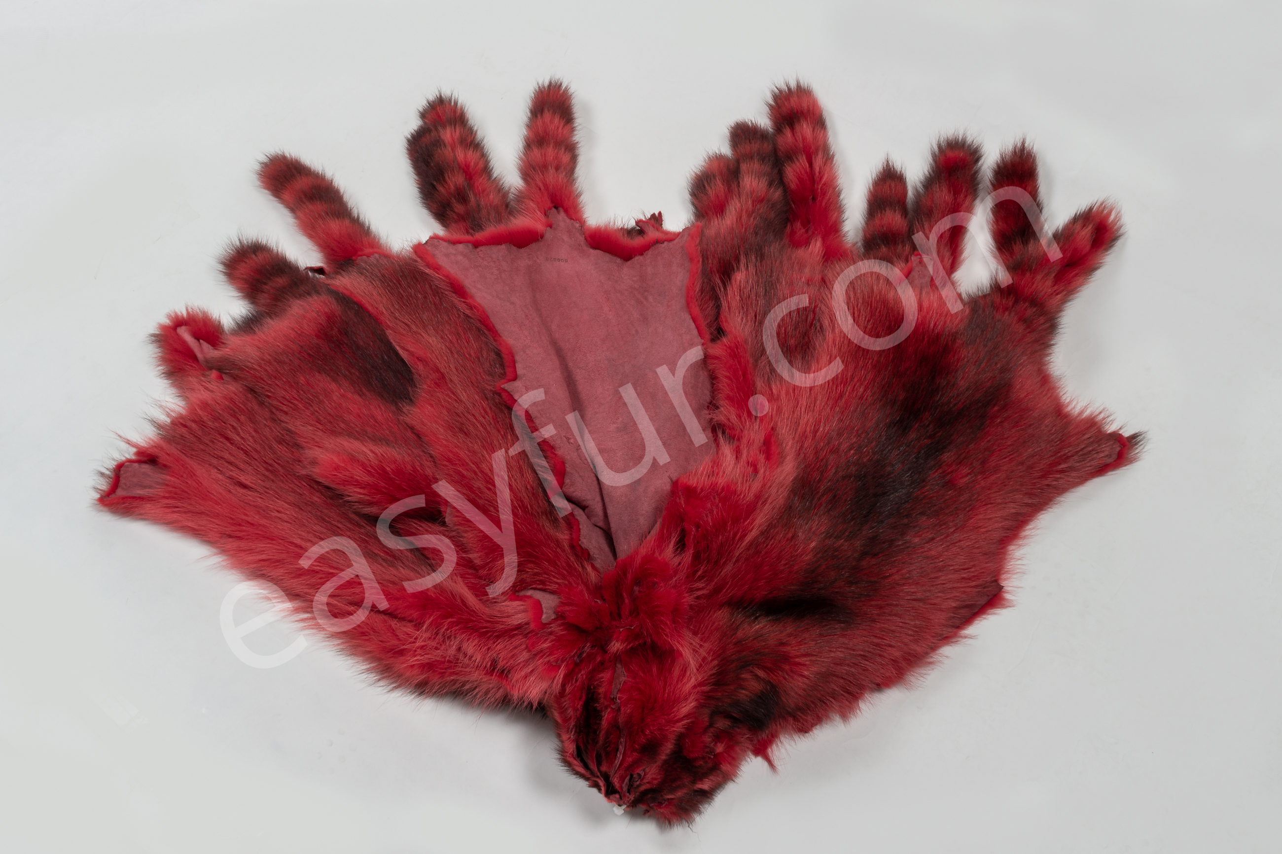 2-6037-Waschbaeren-ferrari-rot-raccoons-ferrari-red-easyfur