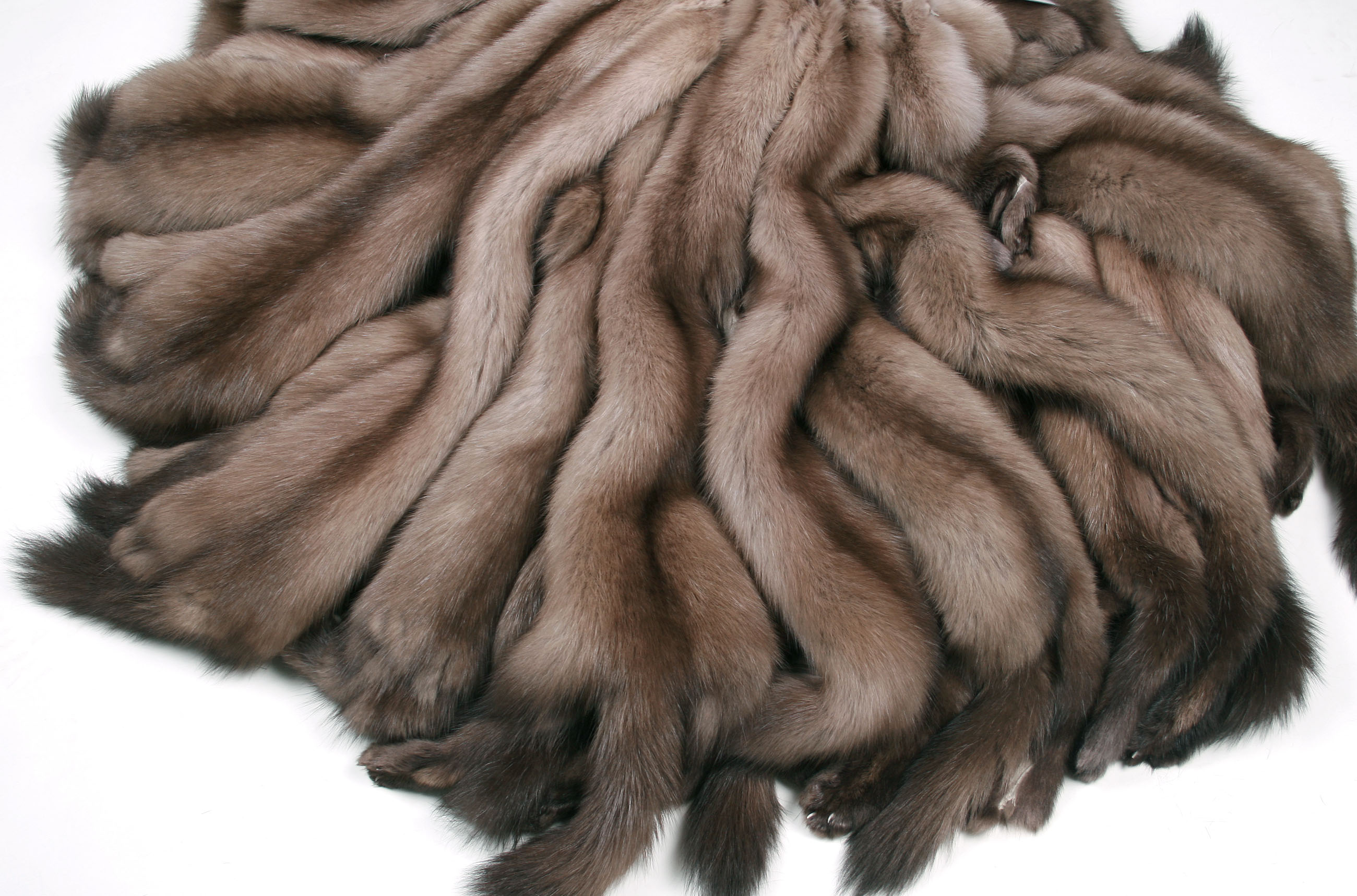 08-russian-sable-skins-2