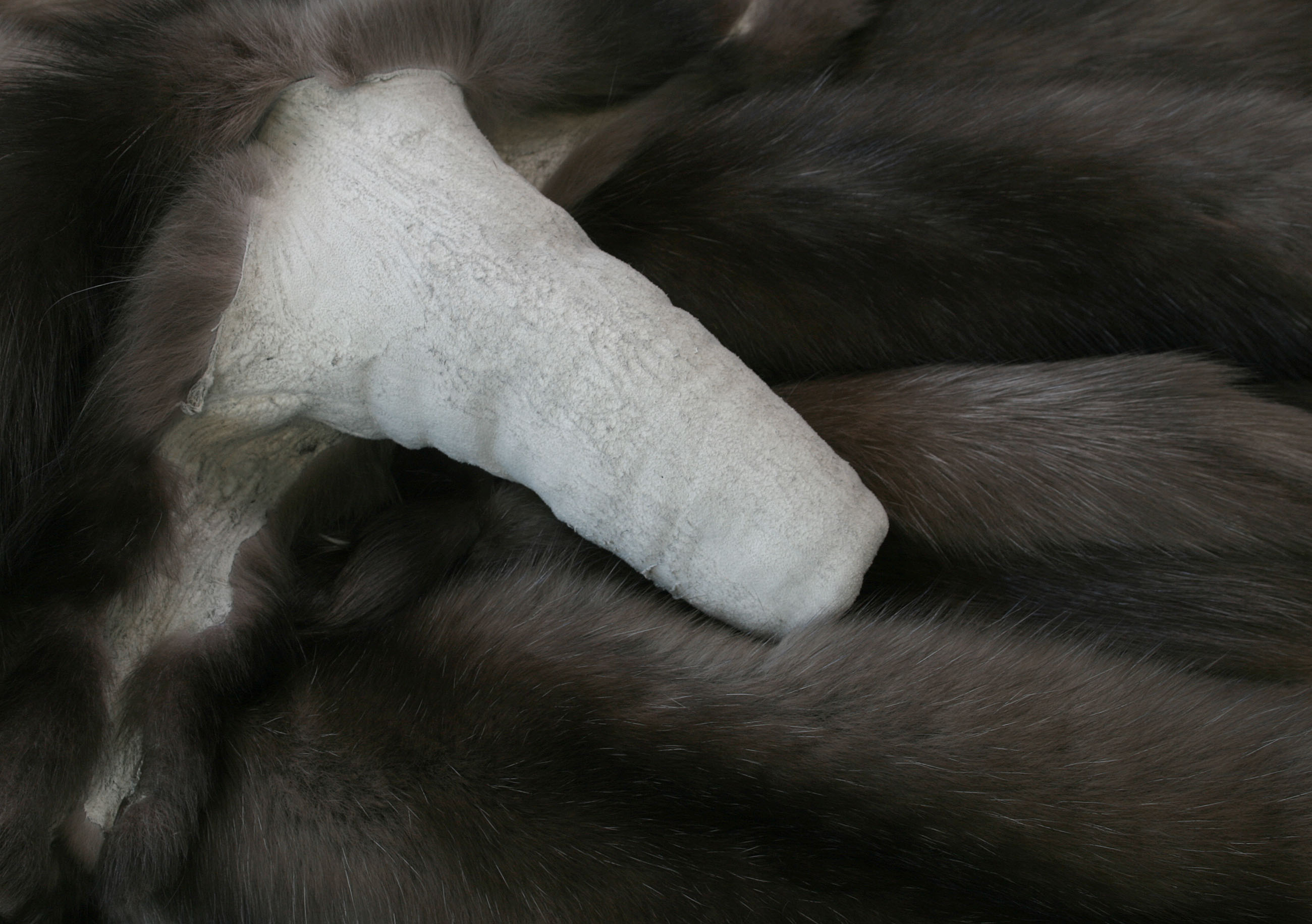 russian-sable-skins-6