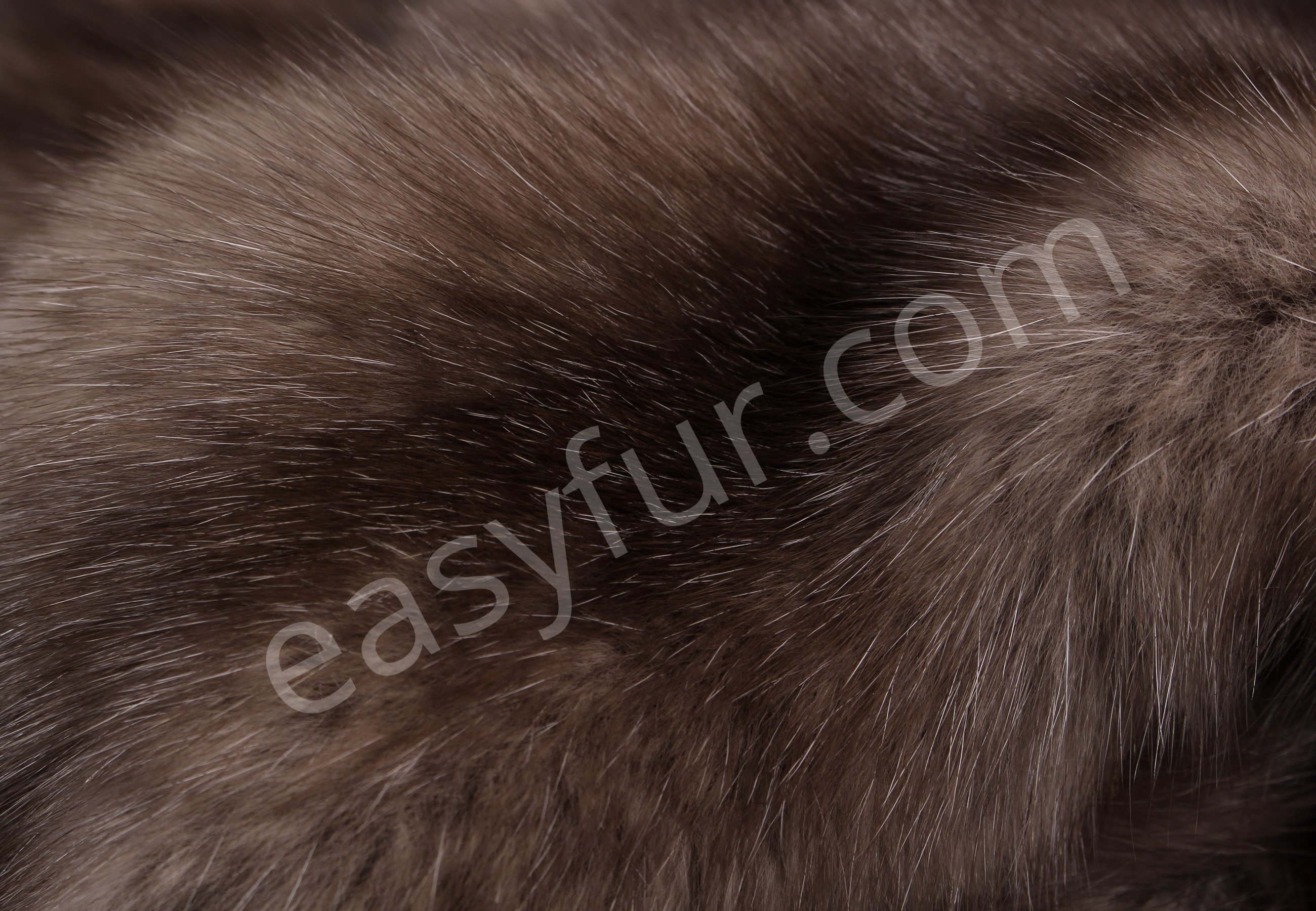 03-5489-Russian-Bargusin-Sable-Skins-Tortora