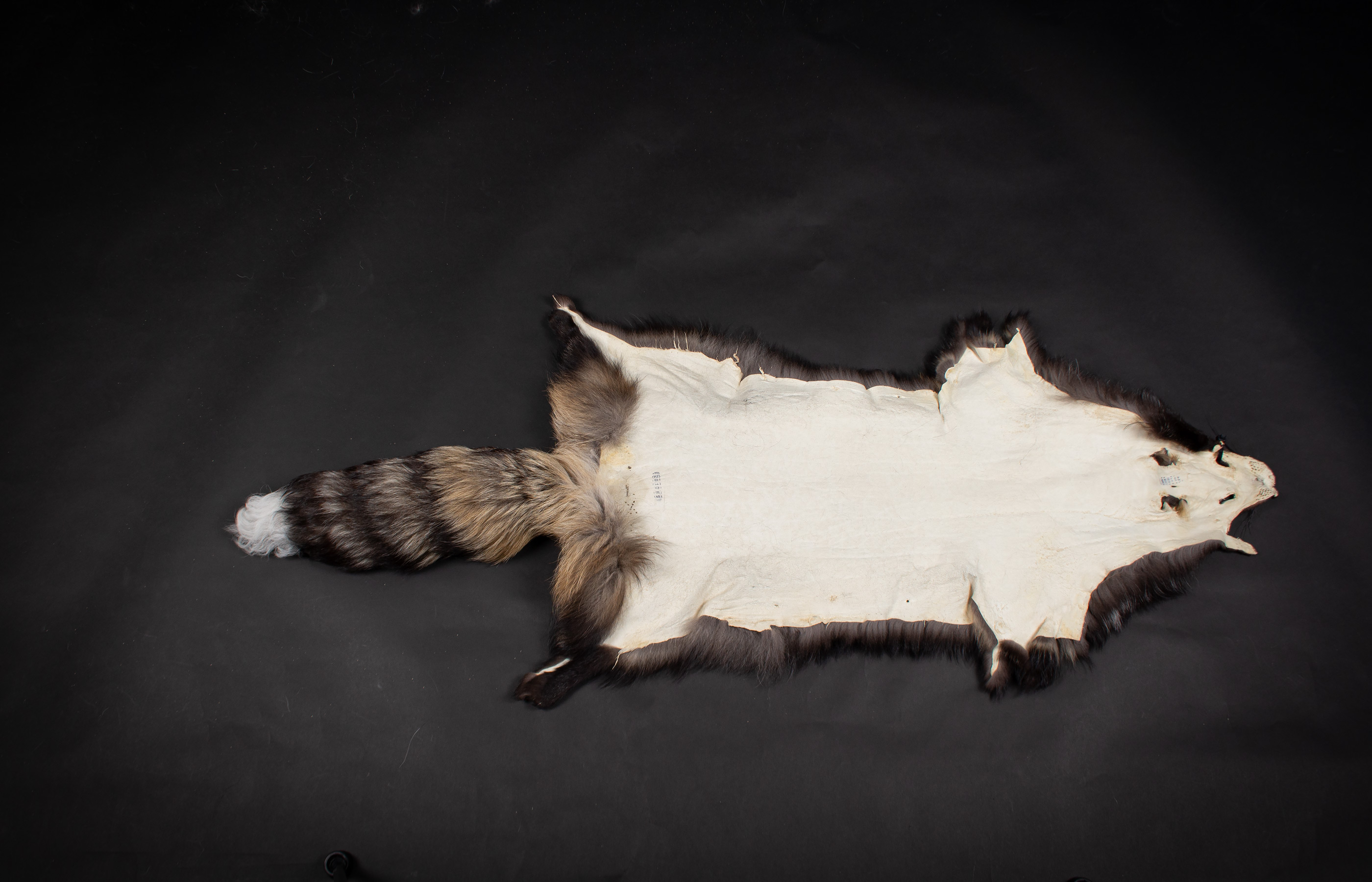 Fur Shell Skin Natural Smokey Fox Skin - Easyfur
