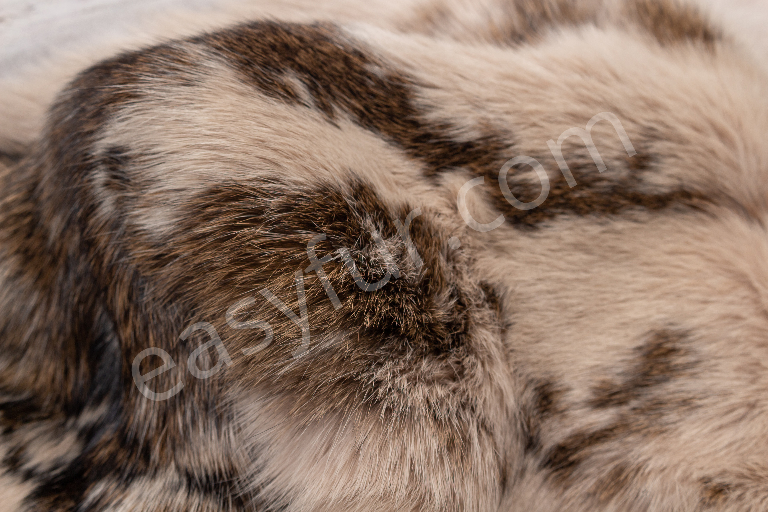 5-2947-Kanin-Felle-Beige-Rabbit-Fur-Skins-beige-Easyfur