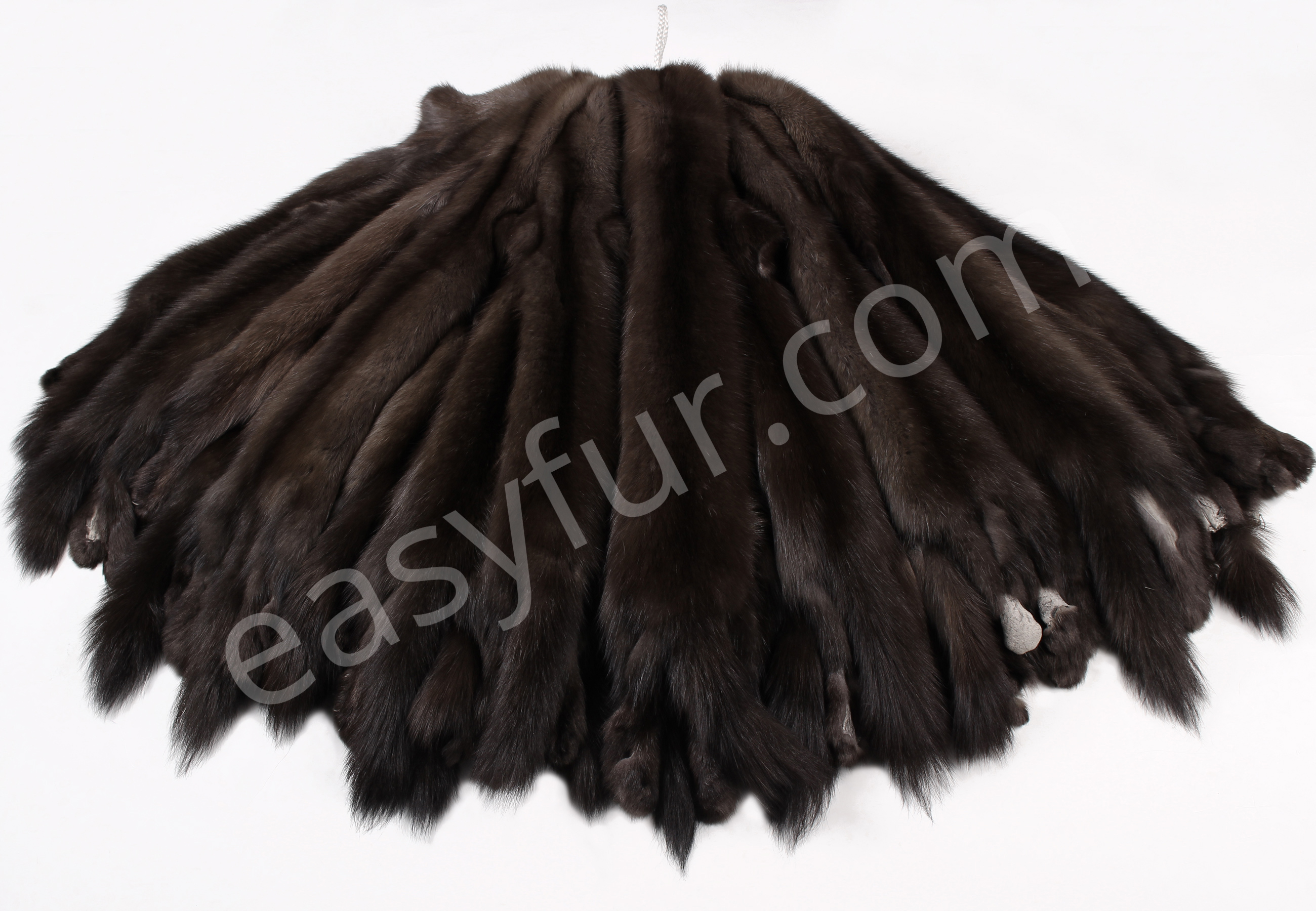 03-5495-Russian-Barguzin-Sables-easyfur