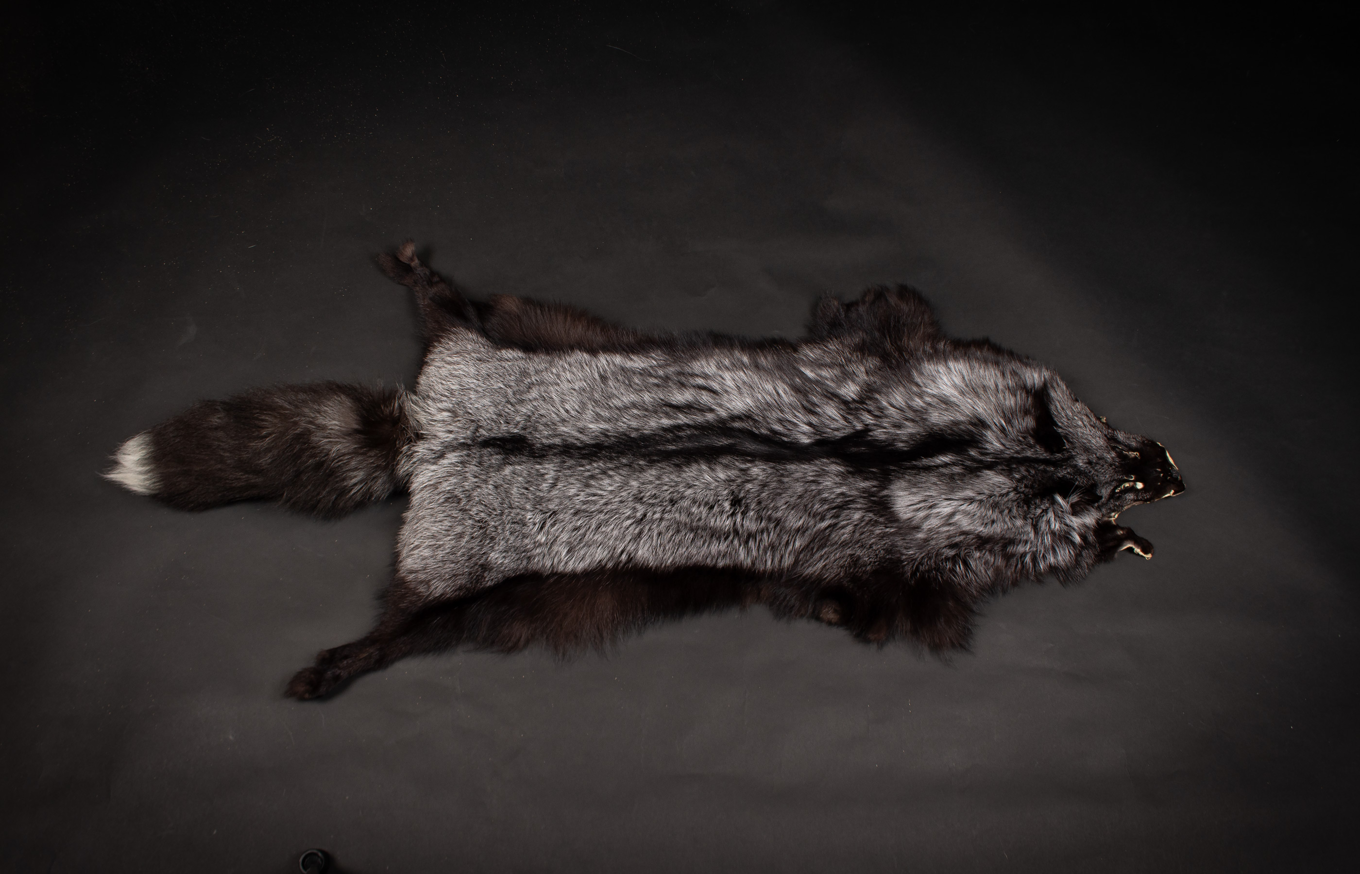 Scandinavian Silverfox Pelt Scandinavian Silverfox Pelt