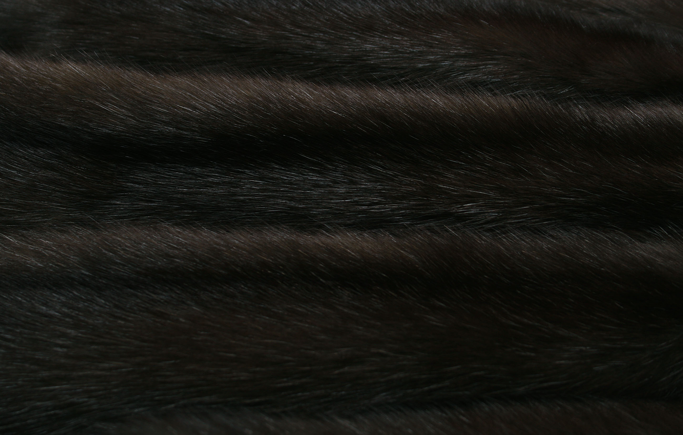 dark-russian-sable-skins-2