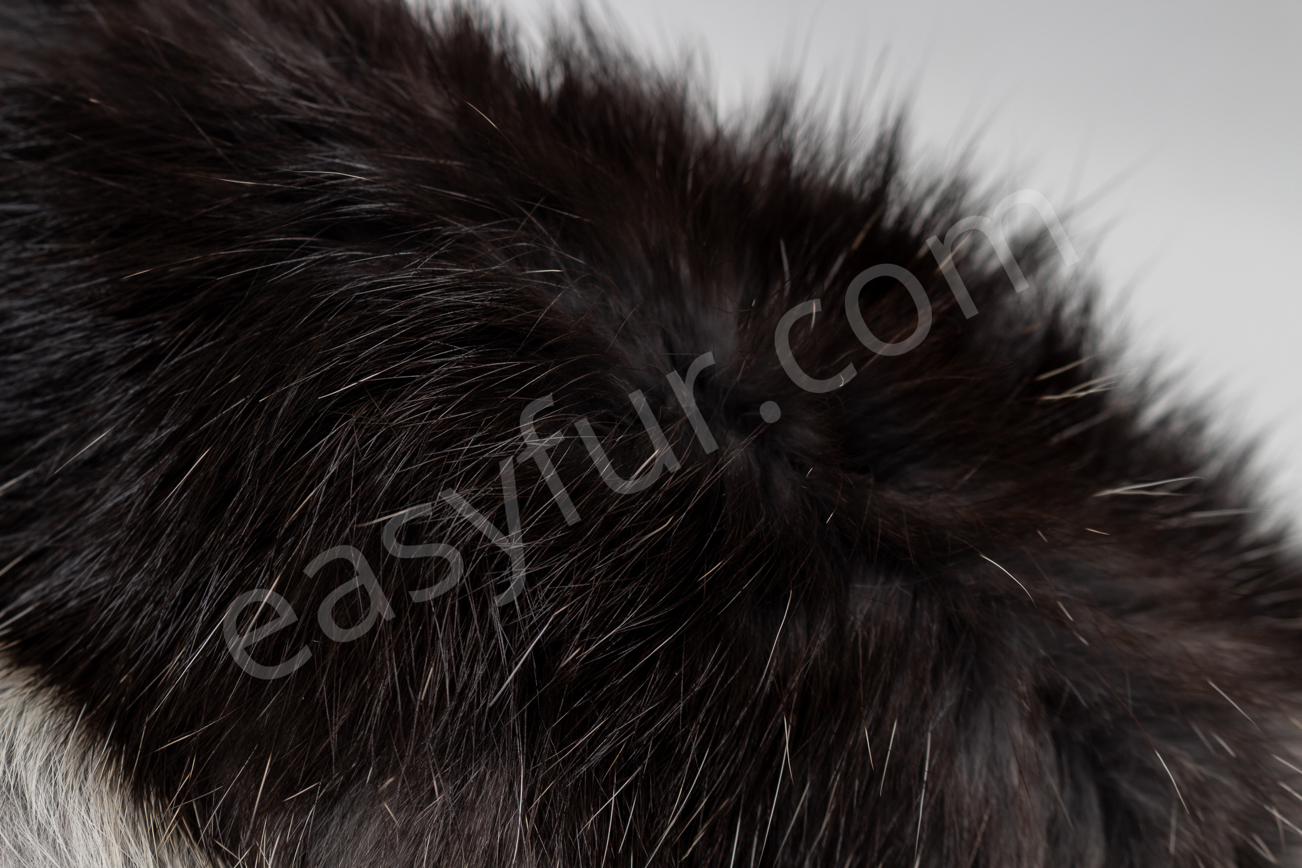 5-6052-Rabbit-Skins-black-white-belly-Naturelle-Kaninchen-Felle-schwarz-grauer-Wamme