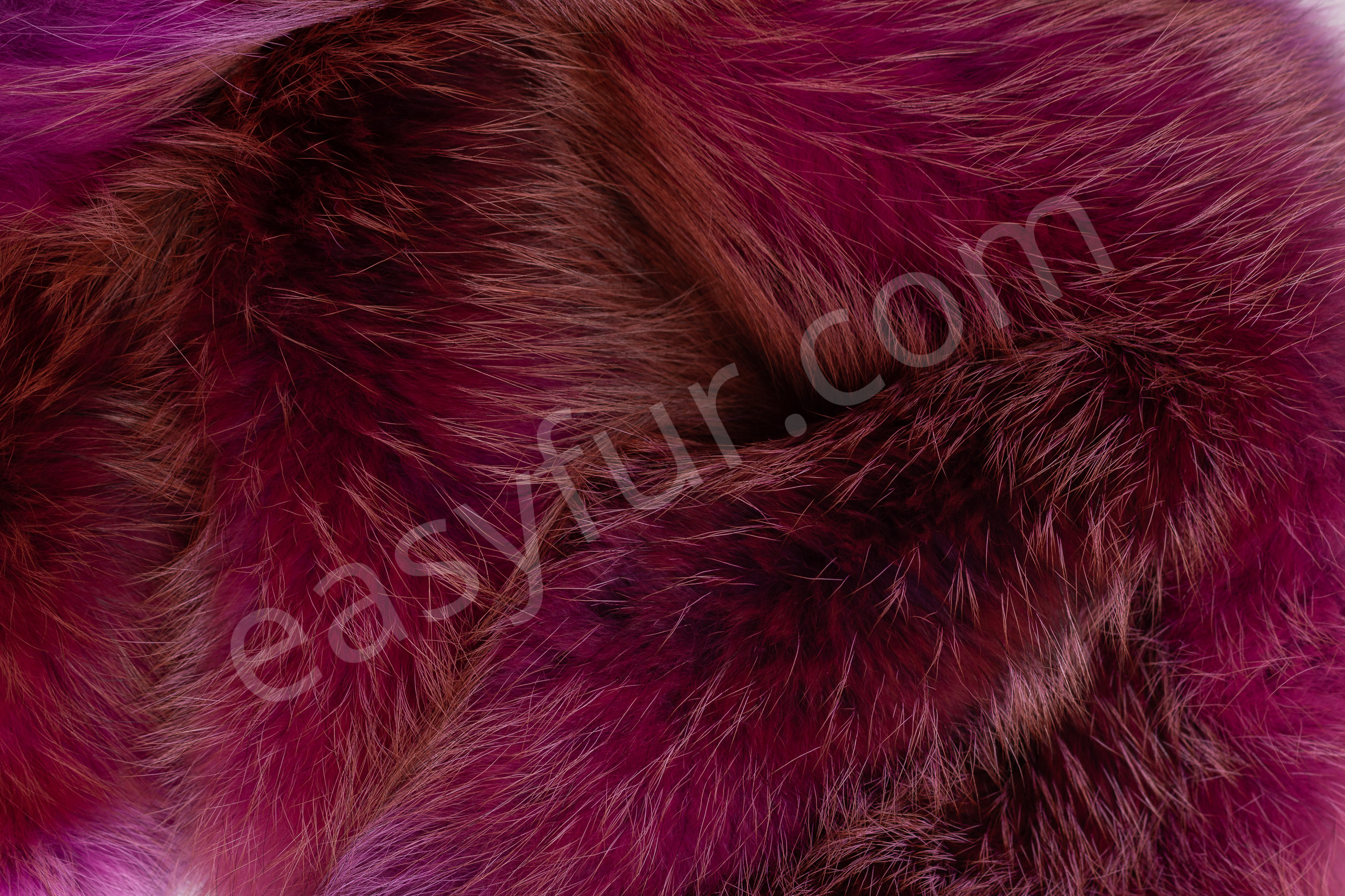 4-6038-Europaeische-Rotfuechse-pink-European-Red-Foxes