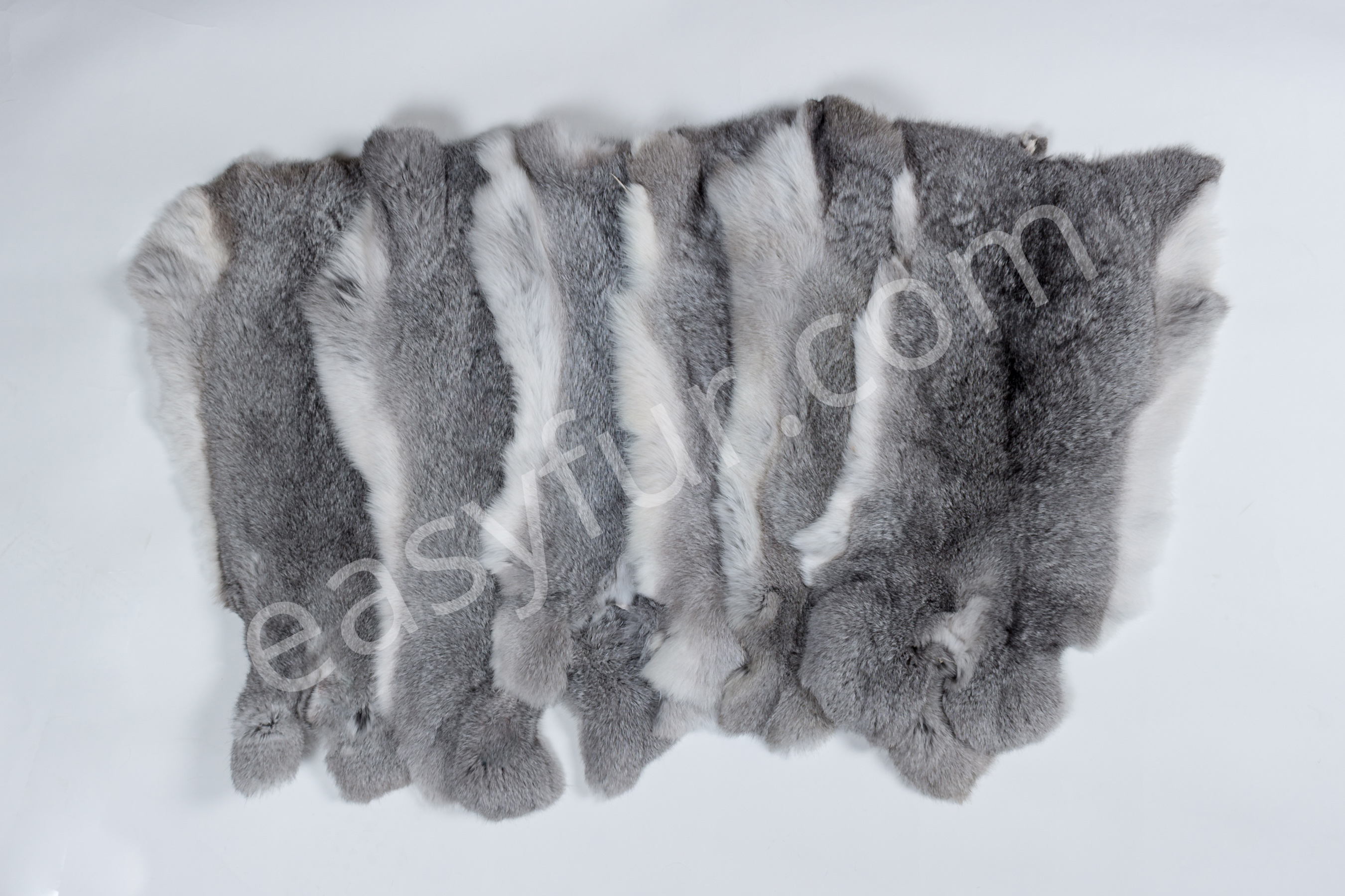 2-1978-Rabbit-Skins-Chinchilla-Style