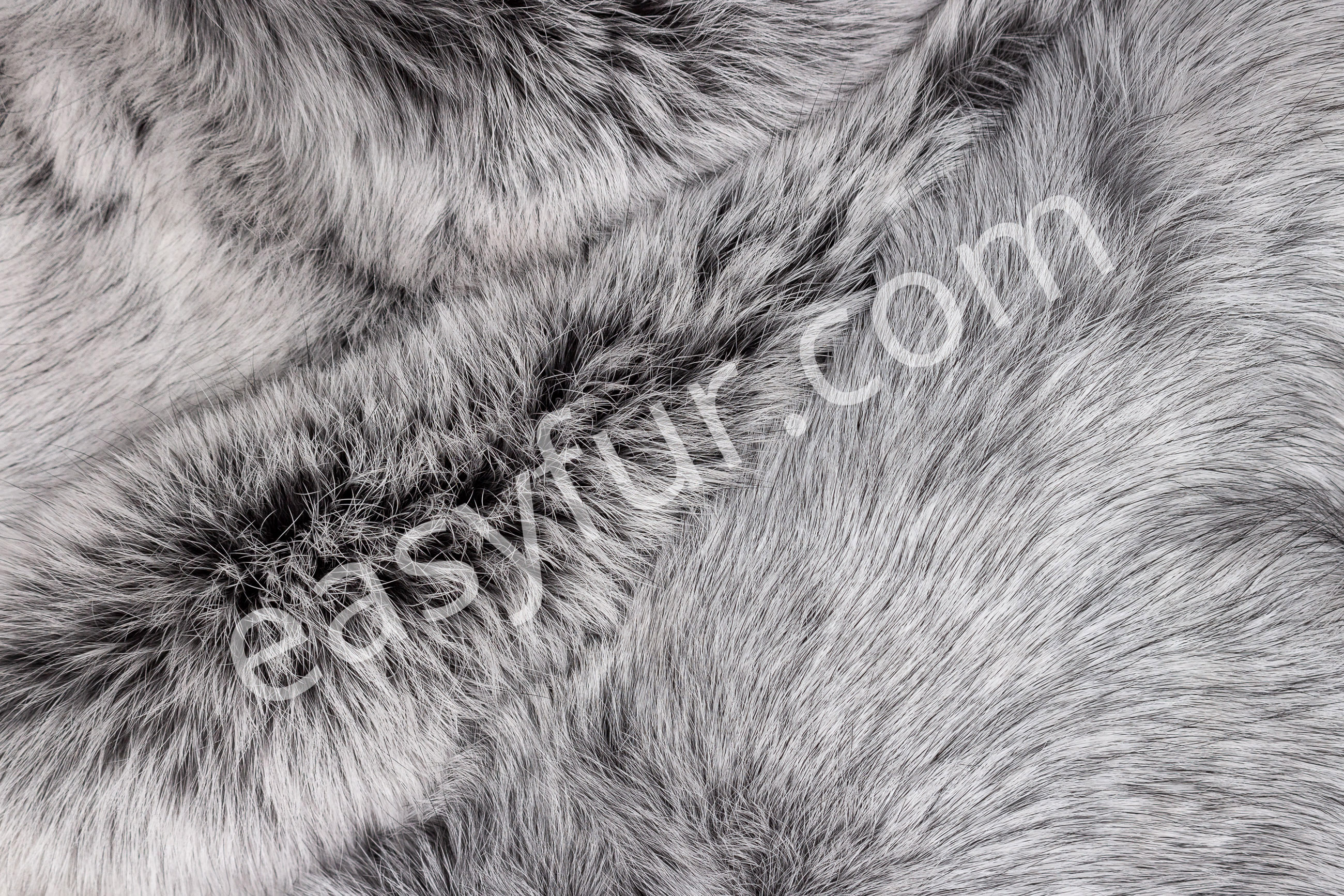 6-2419-Helle-Grosssilber-Kaninchen-Felle-Light-Silver-Rabbit-SkinsWku6nS42afWA3