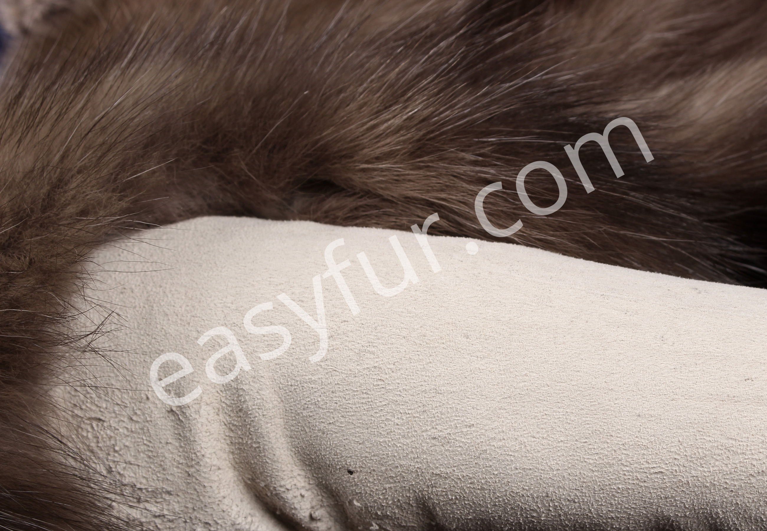 04-5489-Sable-Skins-Tortora-real-fur